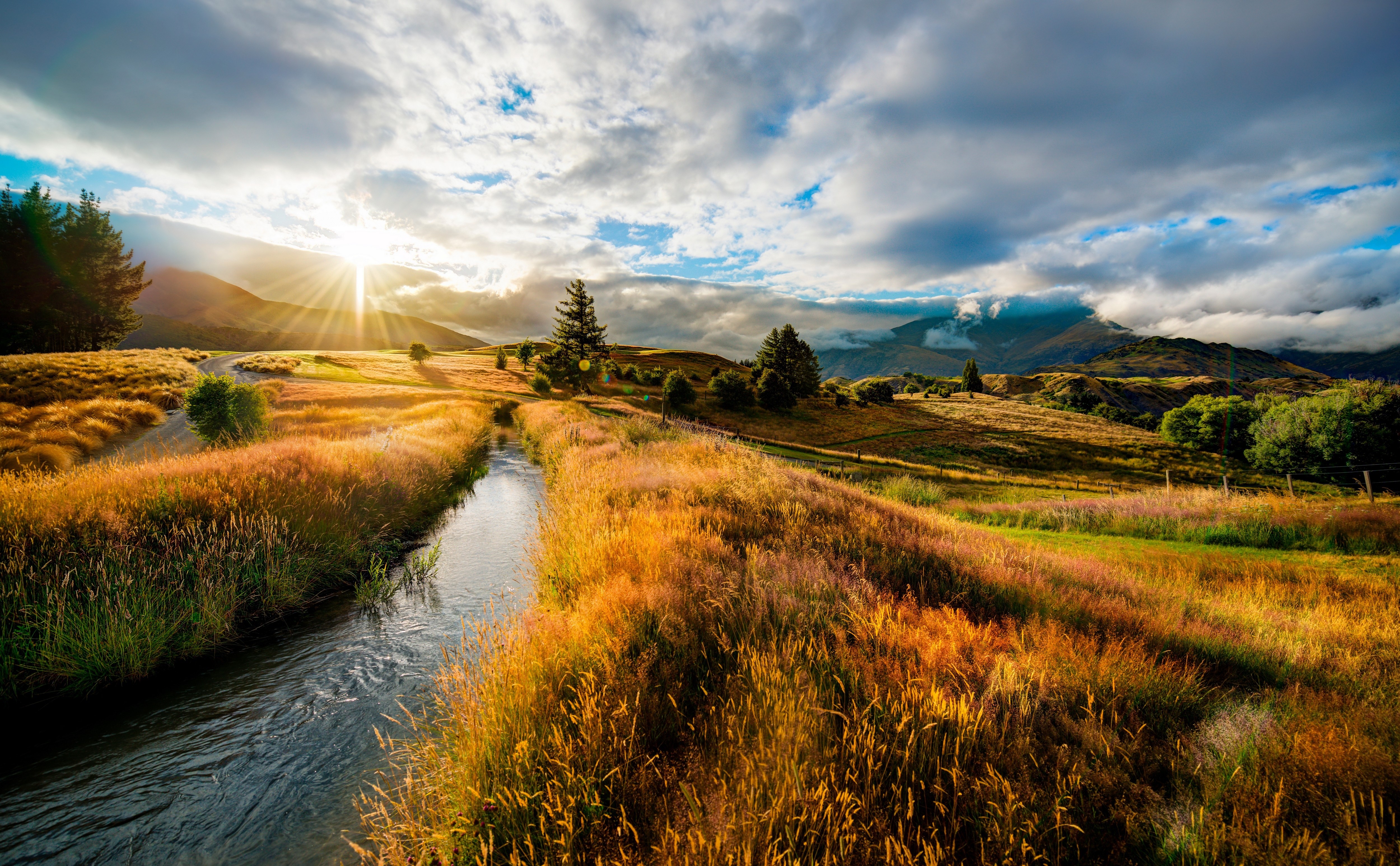 Stream through golden grass fields at sunset HD Wallpaper