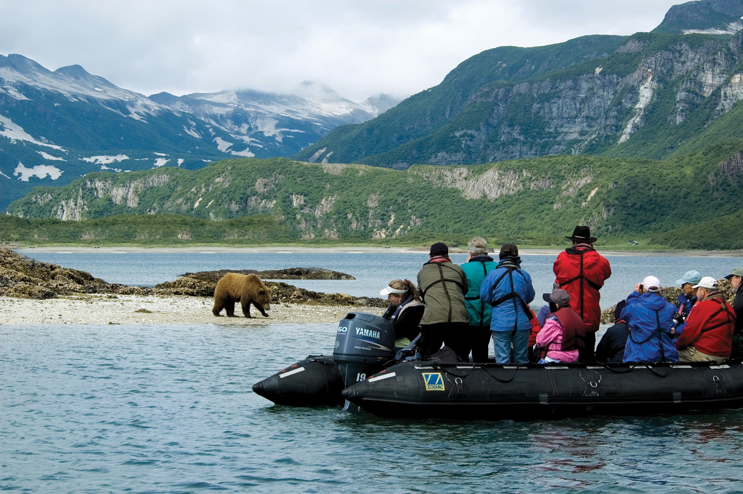 Tourists observe a brown bear from a boat in Alaska HD Wallpaper