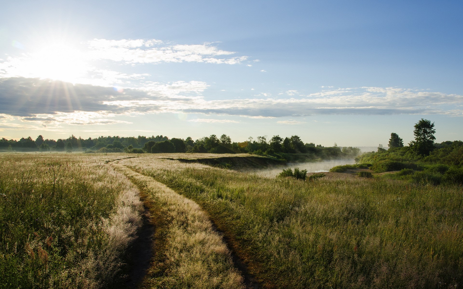 Dirt path through a grassy field with a river and trees HD Wallpaper