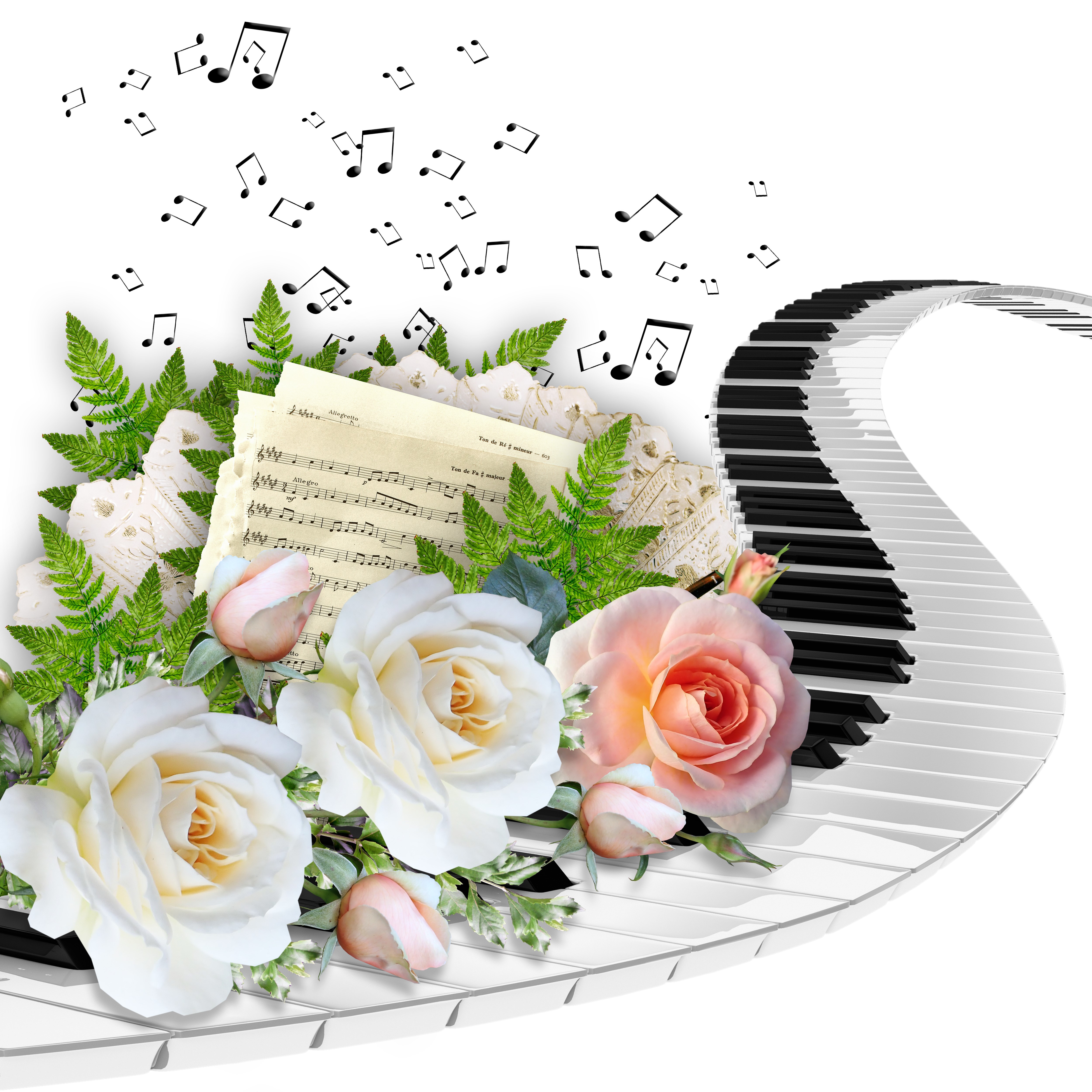 Roses and Piano Keys with Musical Notes HD Wallpaper