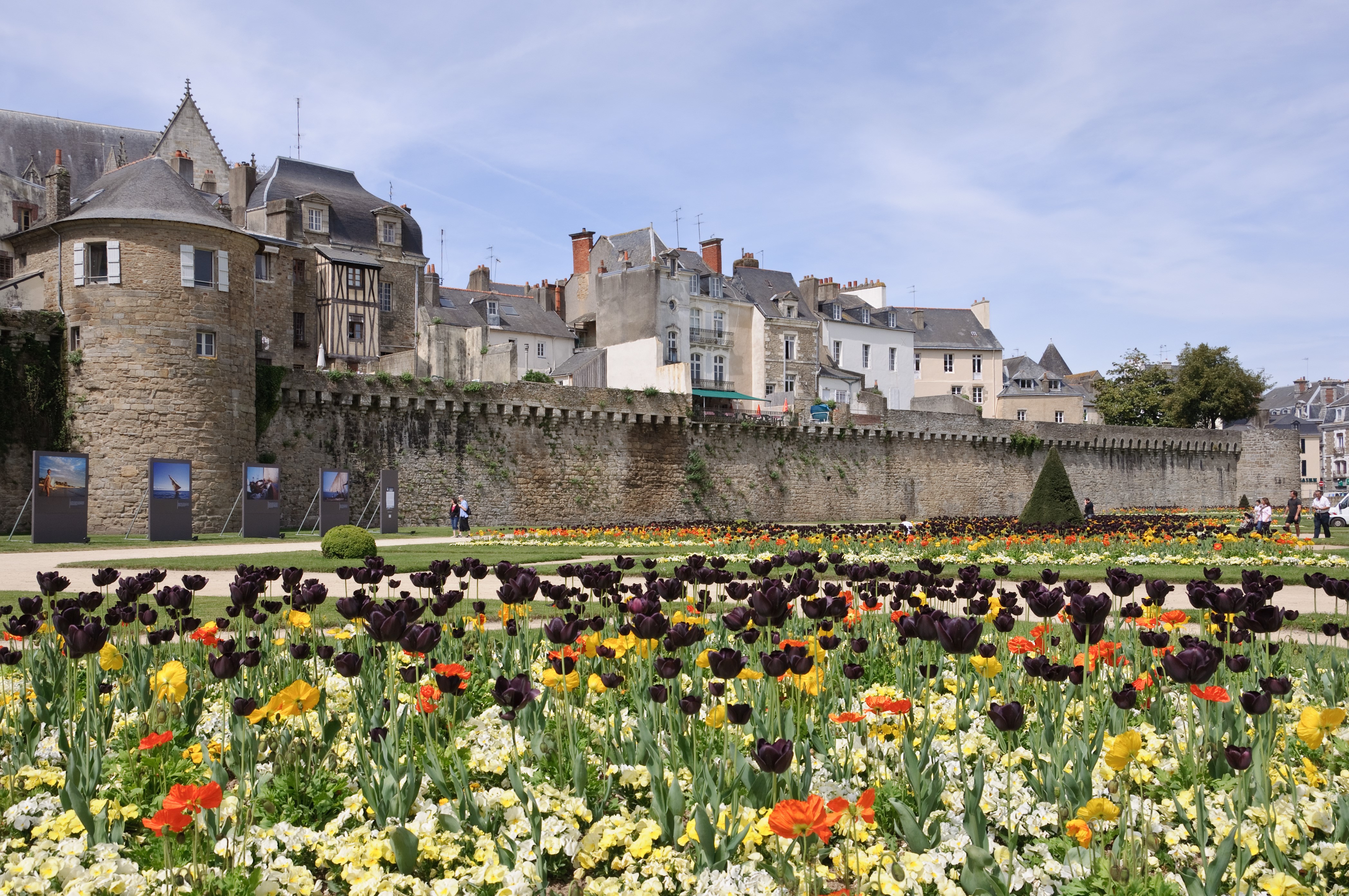 Tulips in a French Garden with Ancient Walls HD Wallpaper