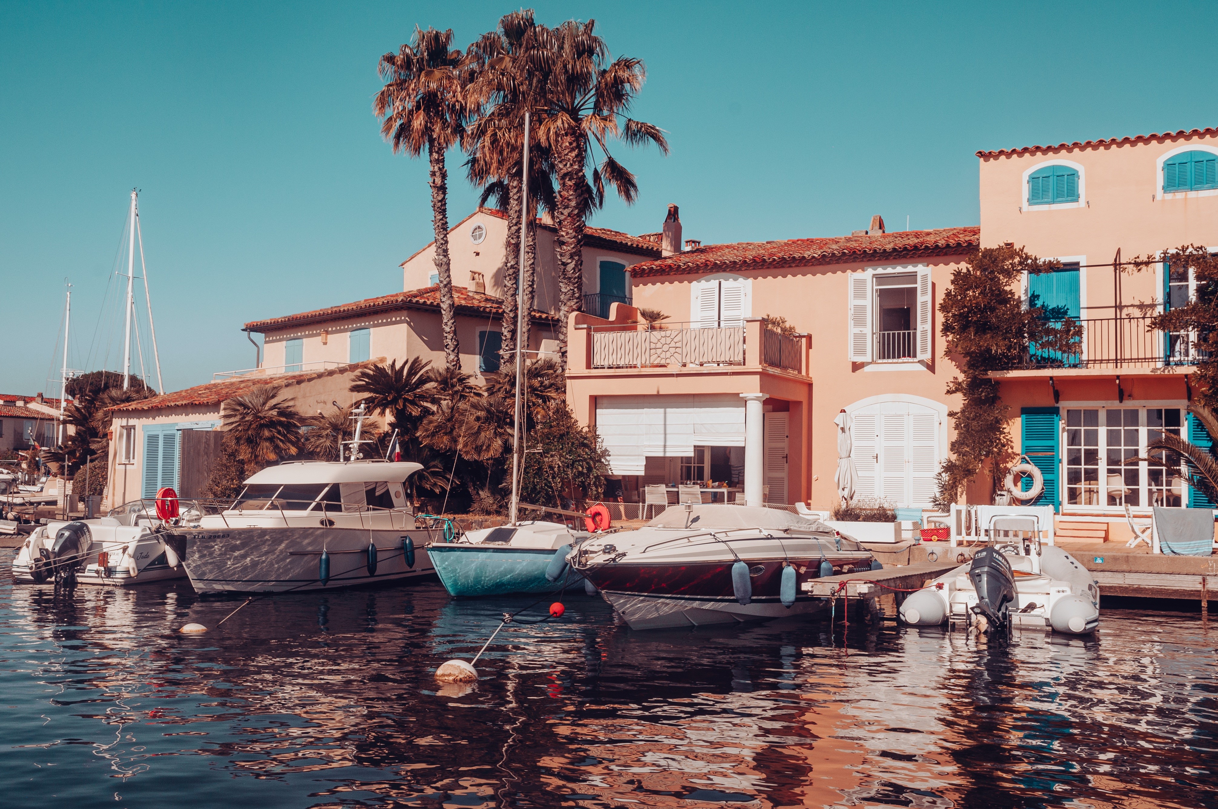 Boats docked in a harbor with palm trees and houses HD Wallpaper