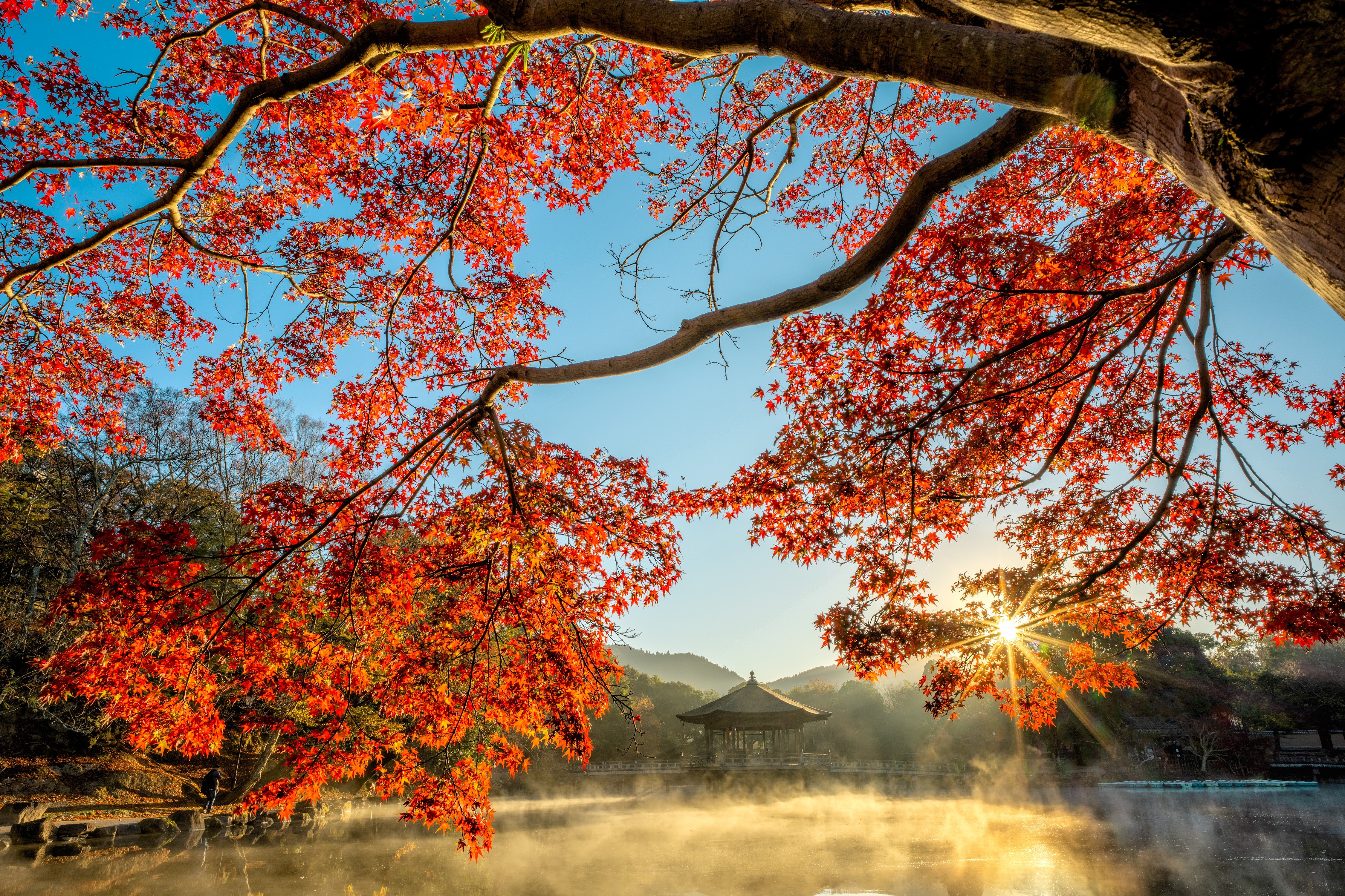 Autumn Maple Branches Over Misty Pond with Pagoda HD Wallpaper