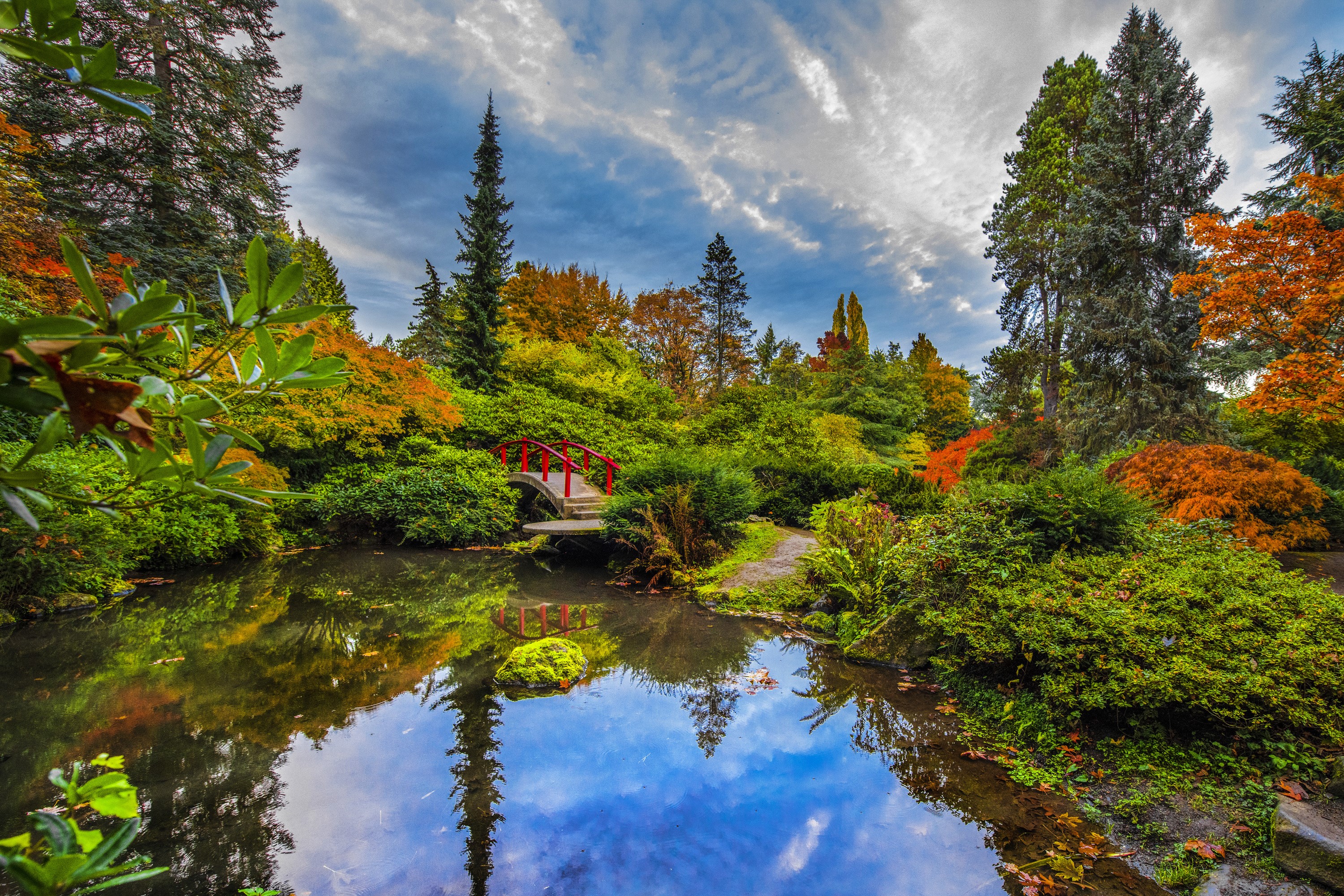 Kubota Garden pond with red bridge and autumn trees HD Wallpaper