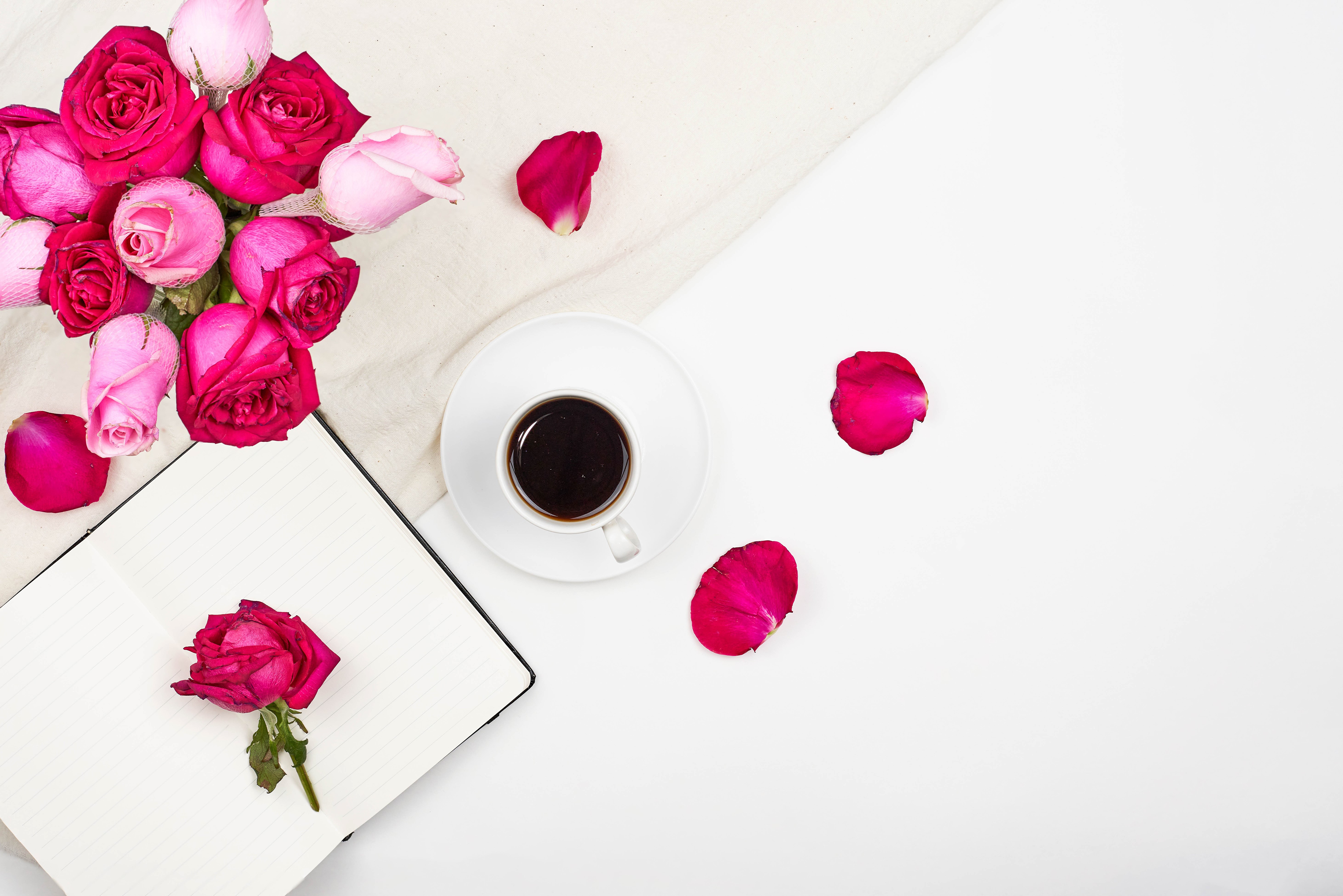 Roses, Coffee, and Notebook on White Background HD Wallpaper