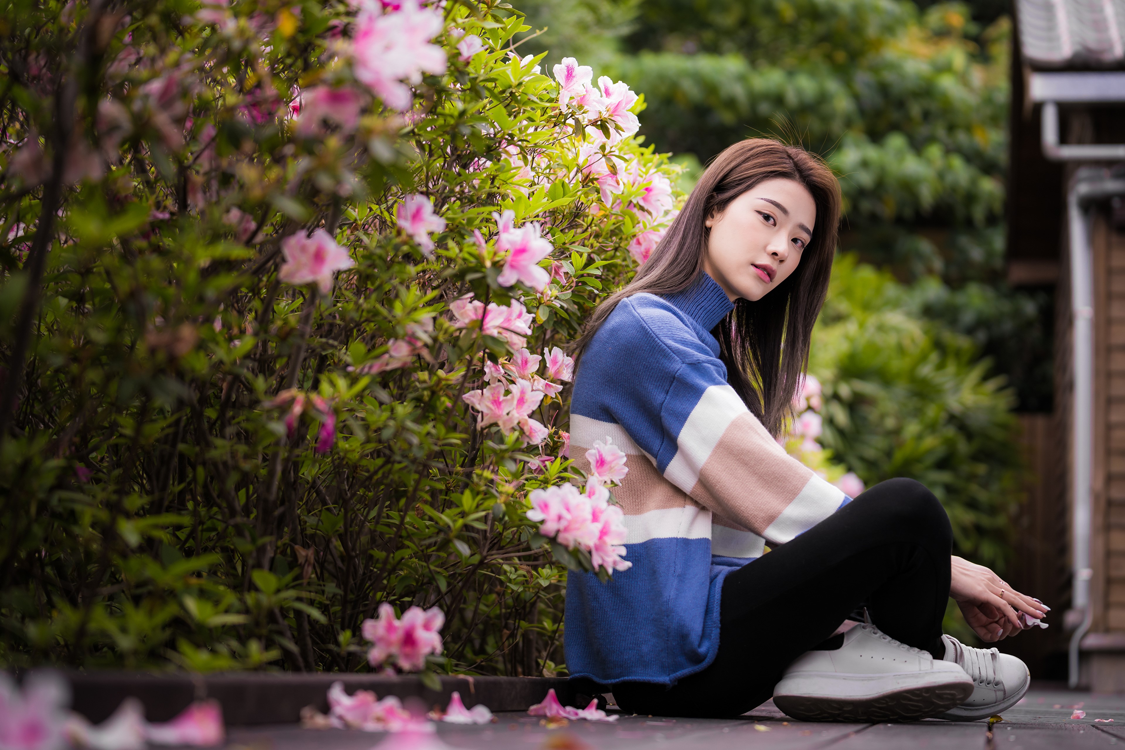 Asian woman sitting by pink flowers HD Wallpaper
