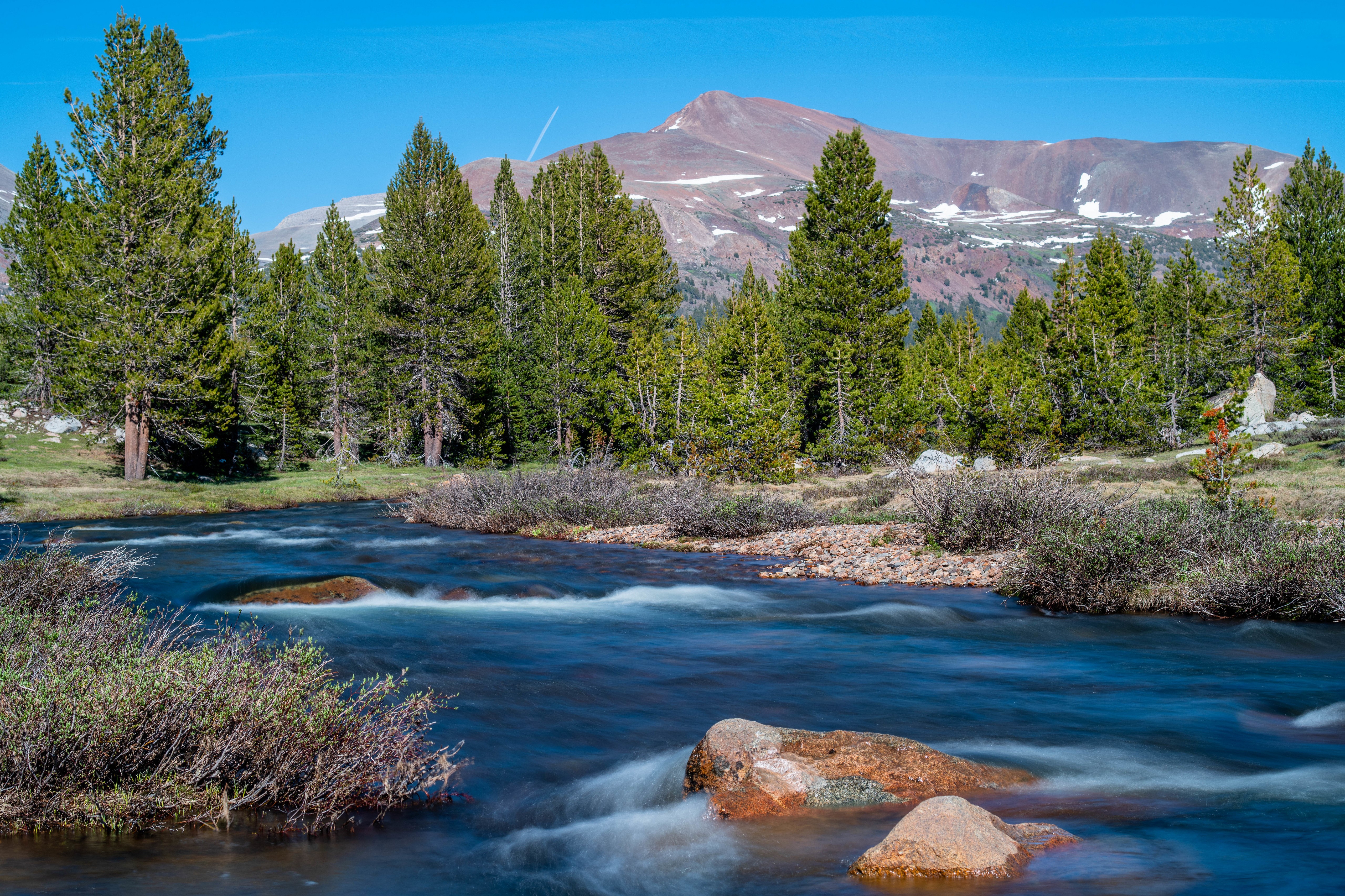 River flowing through trees with mountains in Yosemite, California HD Wallpaper