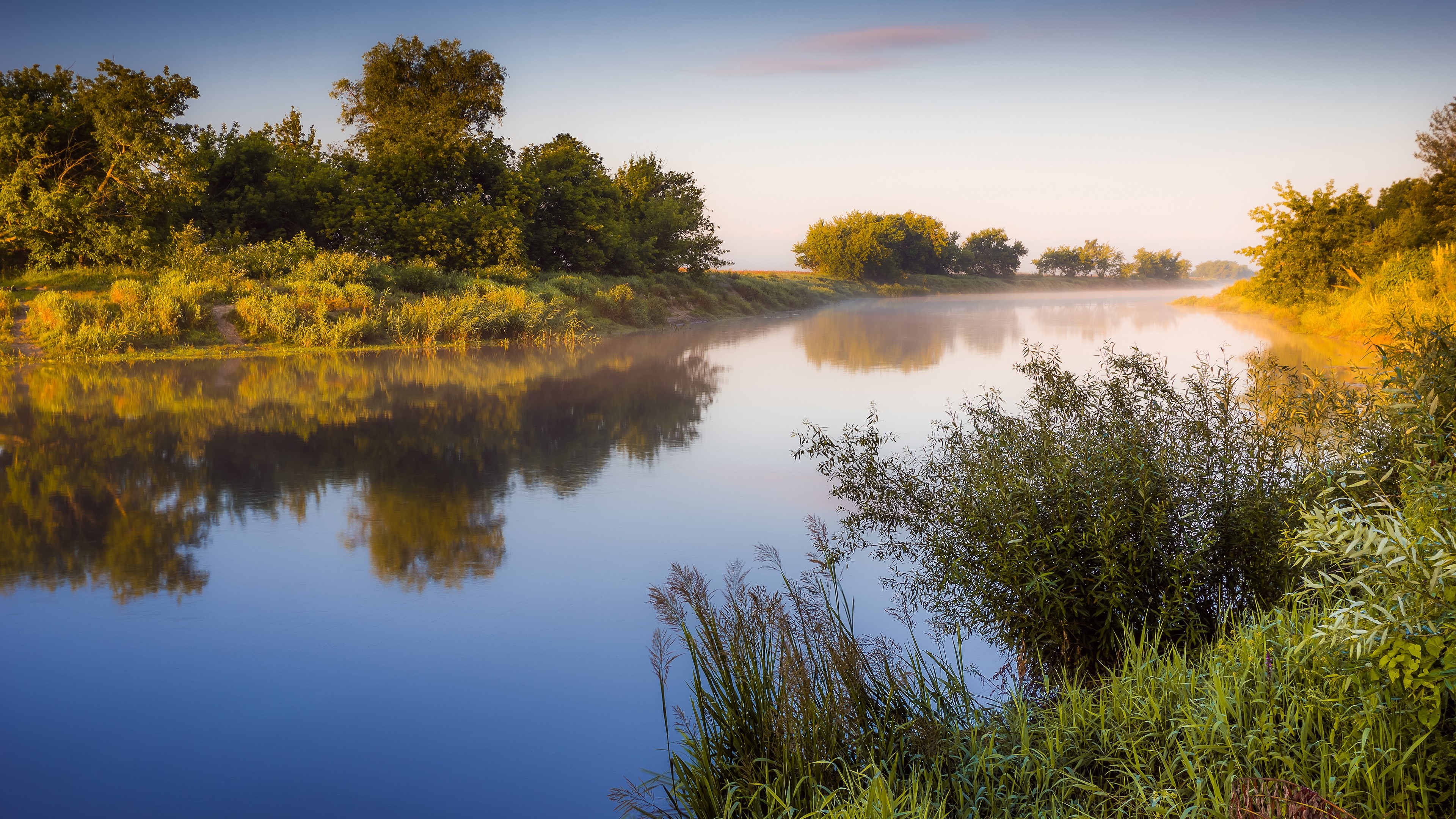 River with Fog and Trees at Sunrise HD Wallpaper