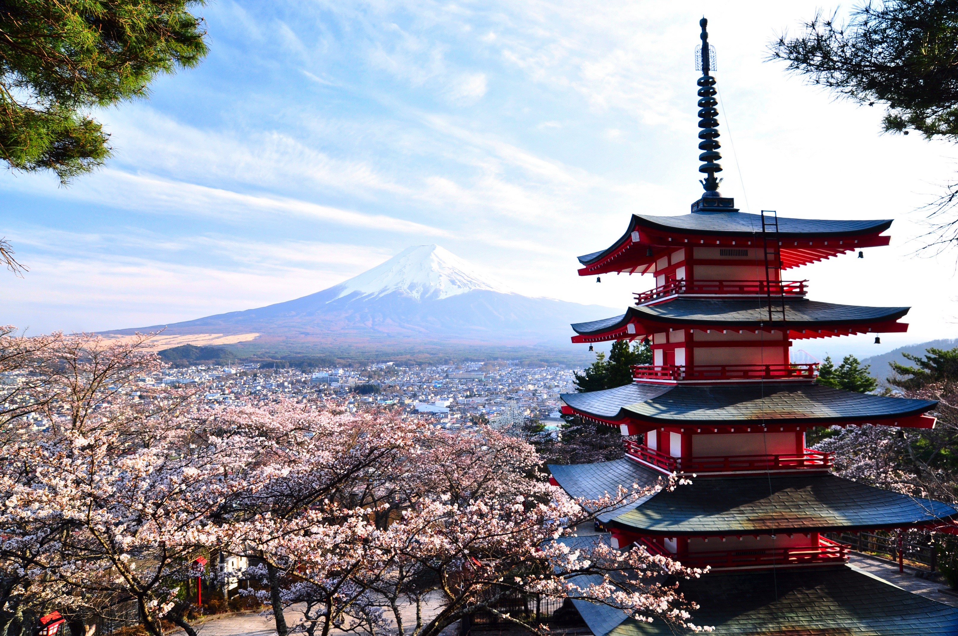 Mount Fuji and Pagoda with Cherry Blossoms in Japan HD Wallpaper