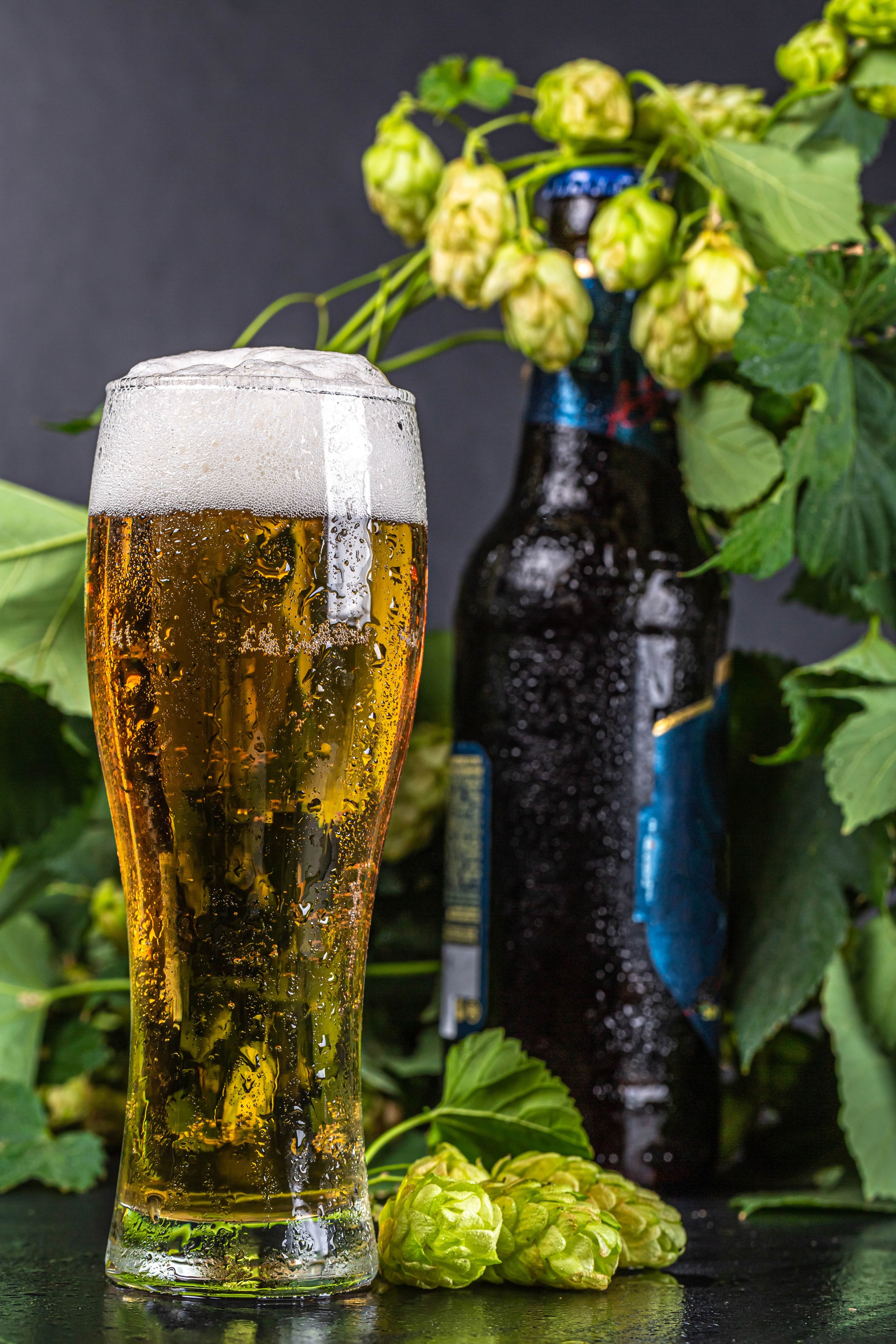 Glass of beer with hops and bottle HD Phone Wallpaper