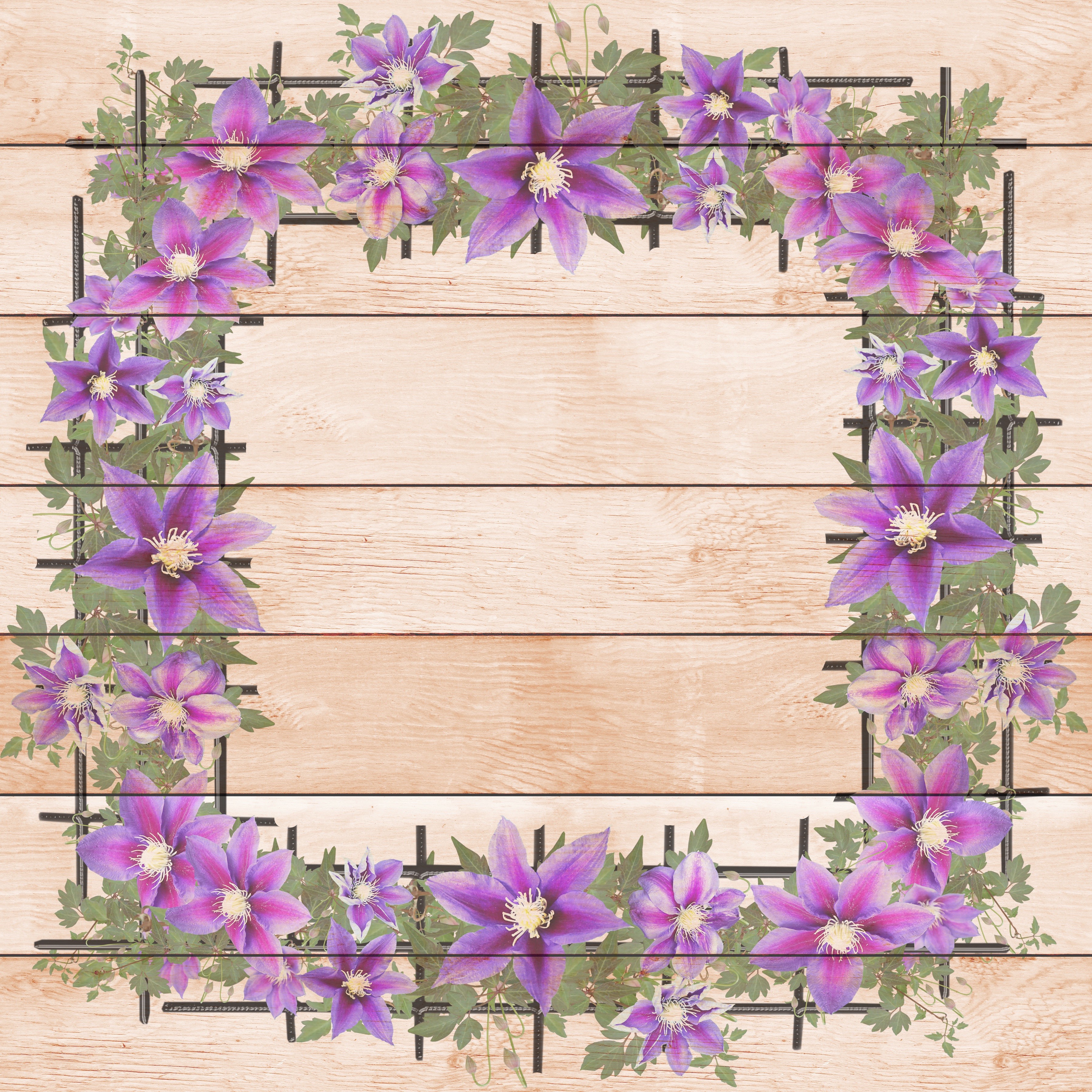 Purple Clematis Flowers on Wood Planks HD Wallpaper