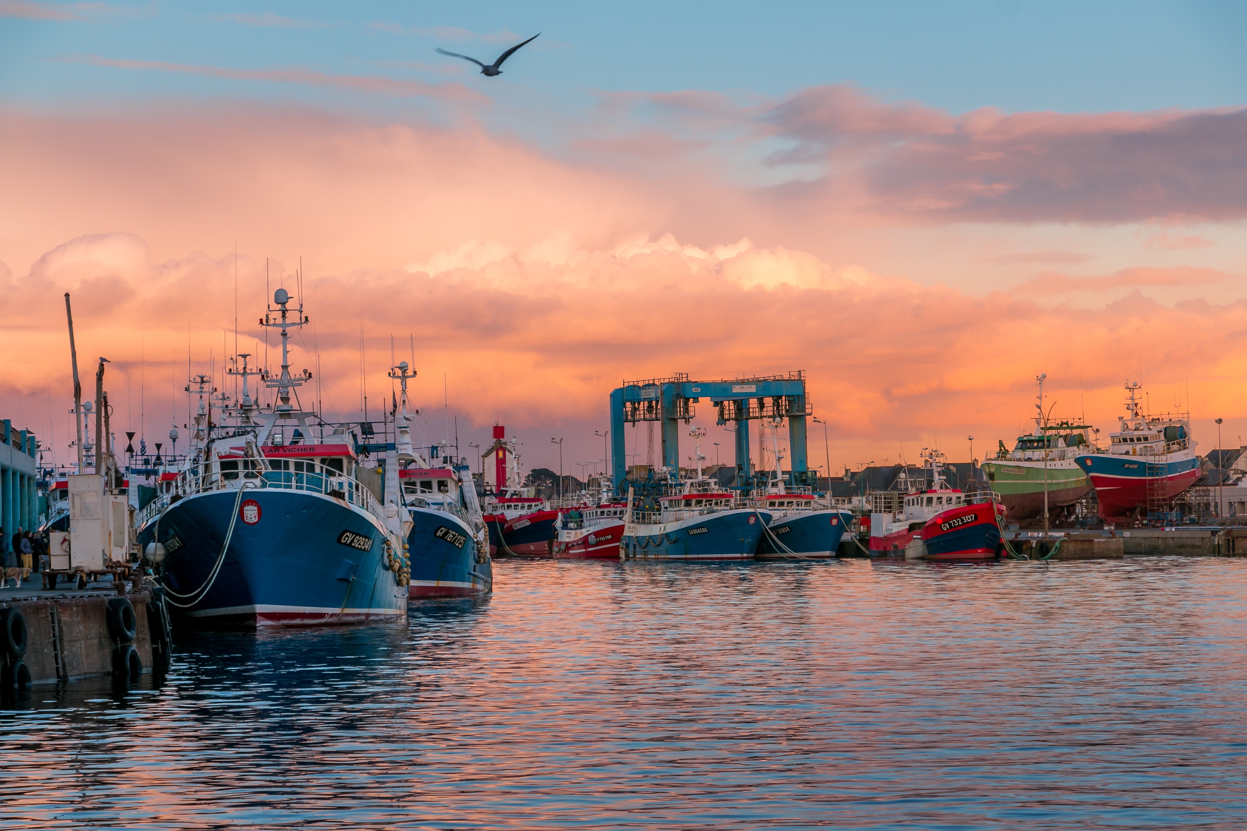 Fishing boats in Guilvinec, Brittany, France at sunset HD Wallpaper