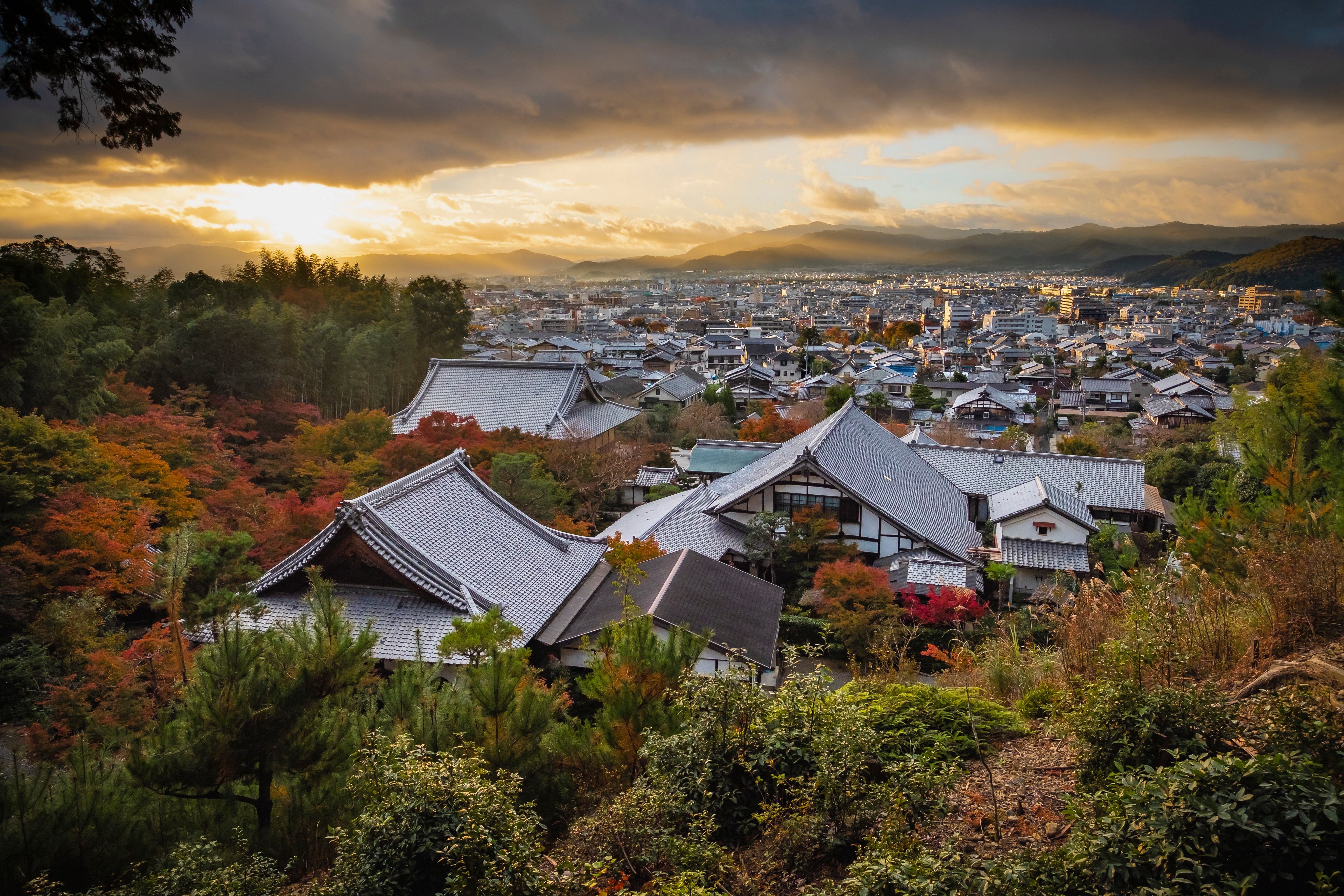 Kyoto cityscape with traditional Japanese roofs and autumn foliage HD Wallpaper