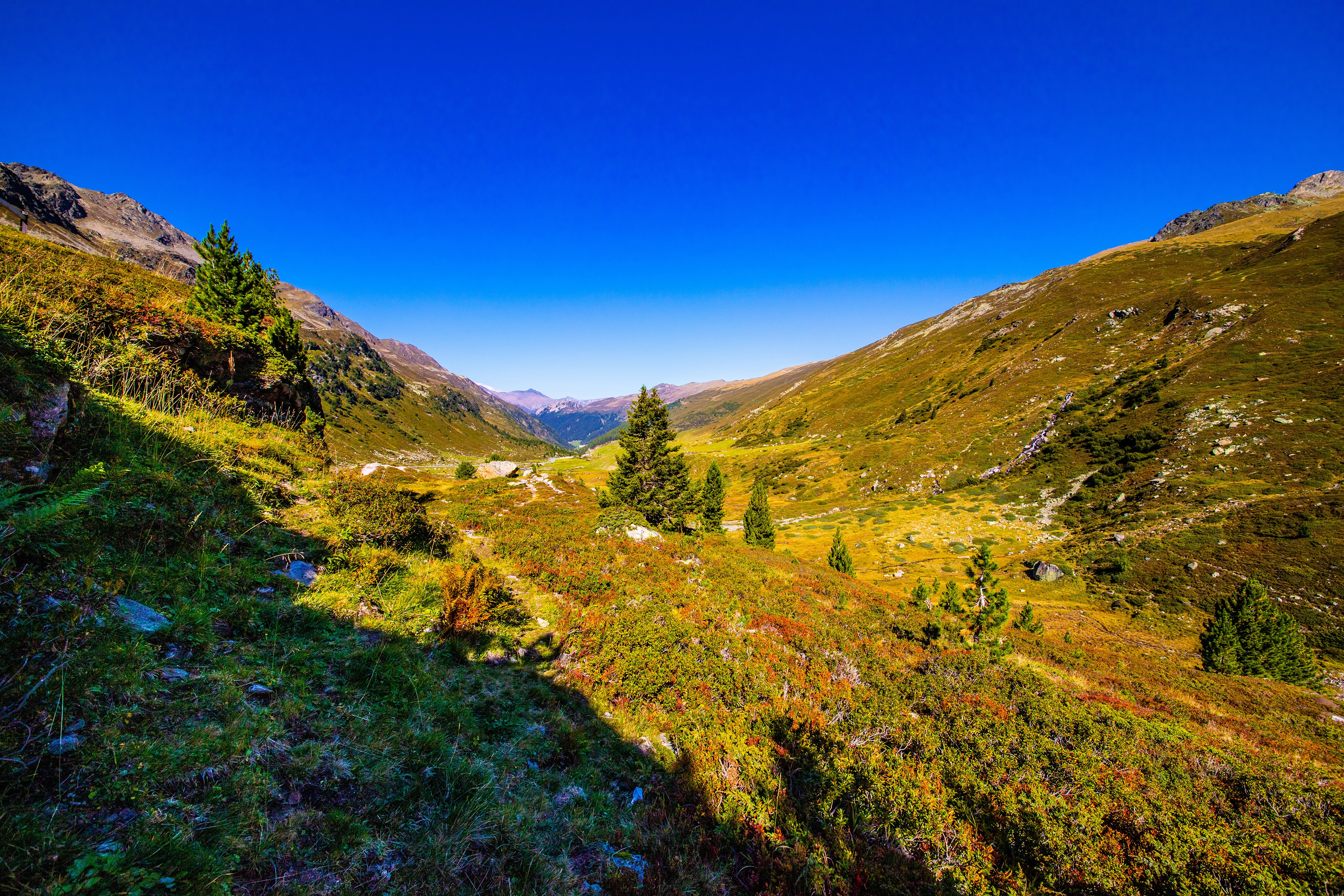 Valley in the Swiss Alps under a clear blue sky HD Wallpaper