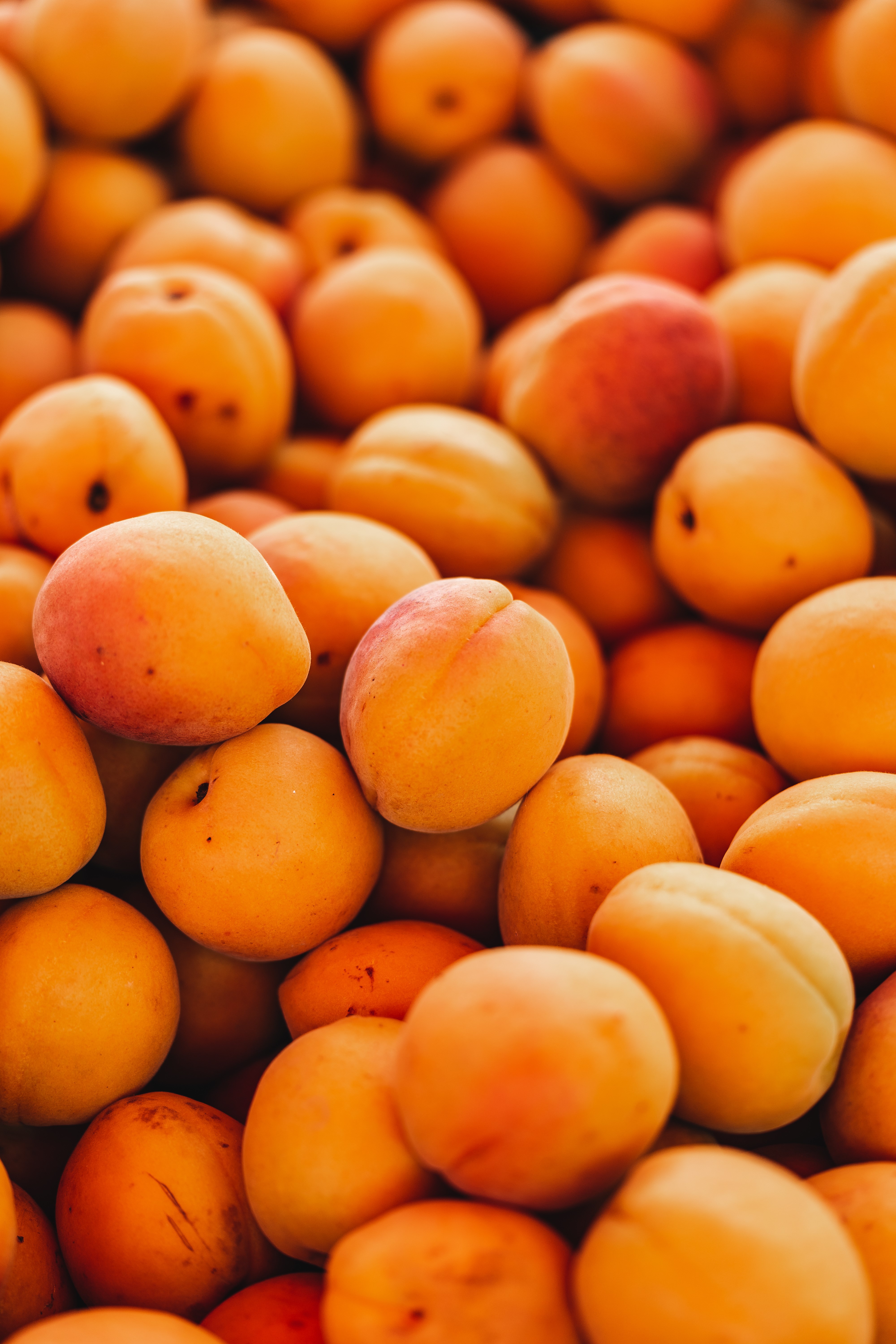 Many Apricots HD Phone Wallpaper