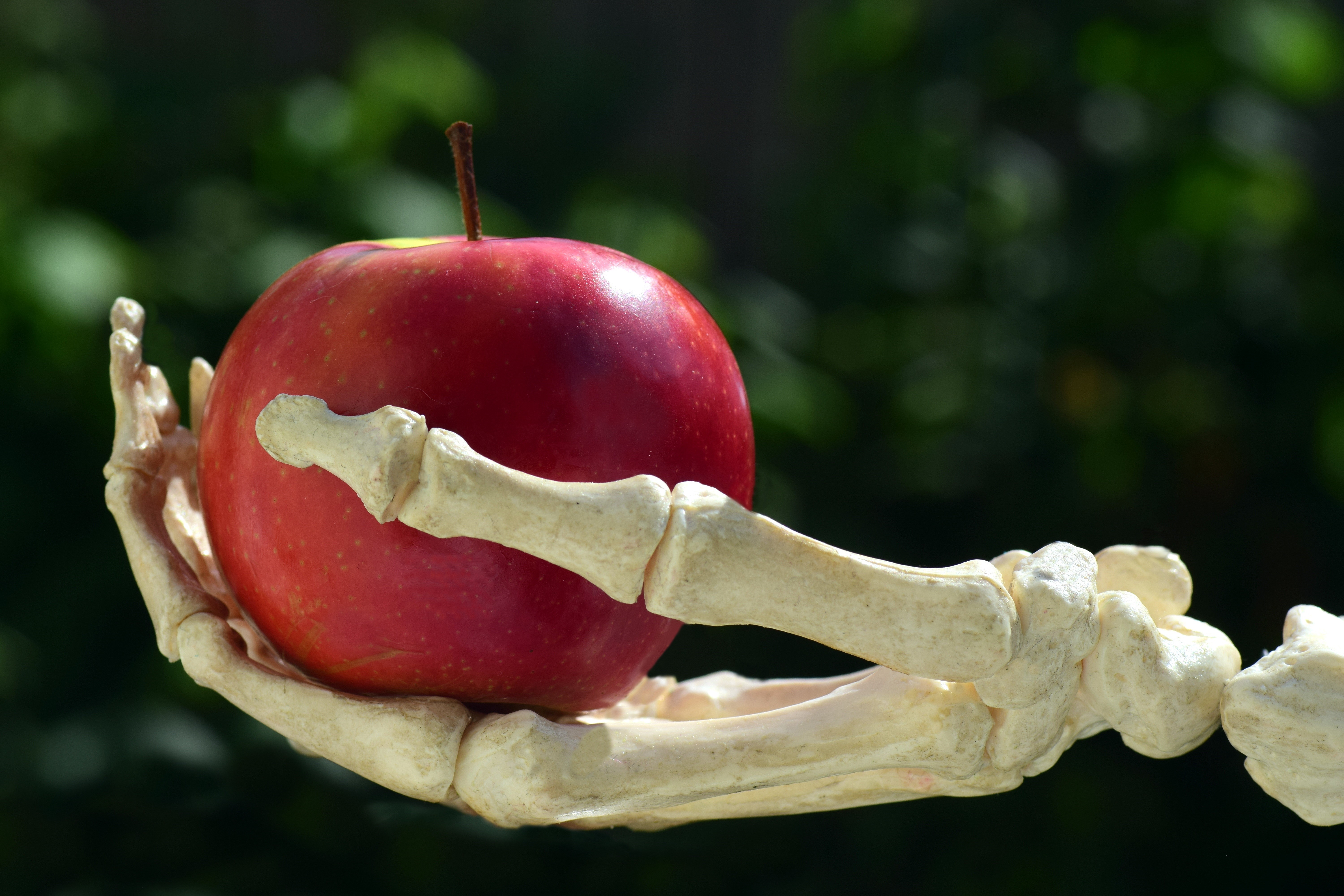 Skeleton hand holding a red apple HD Wallpaper
