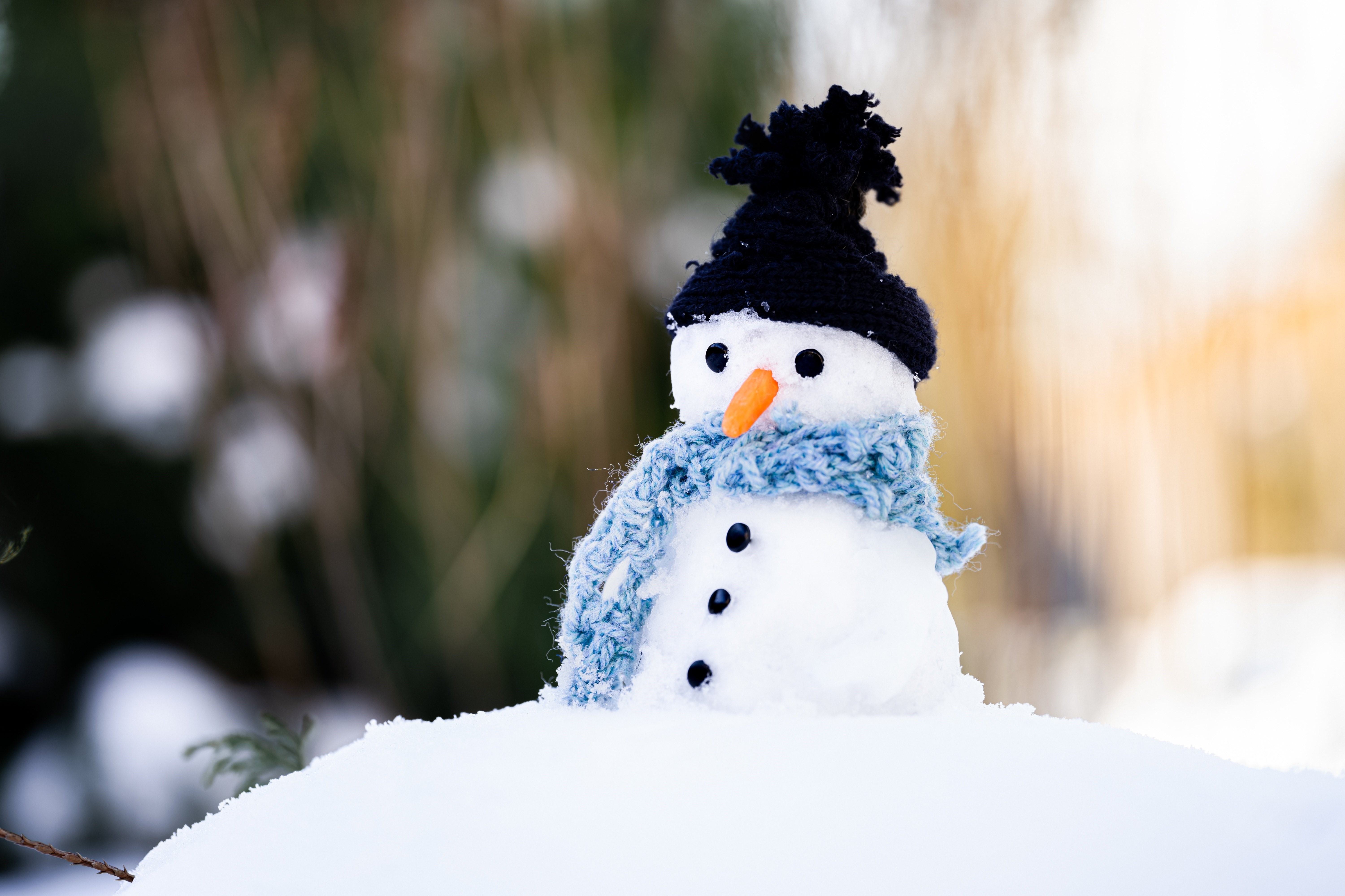 Snowman with carrot nose and scarf HD Wallpaper