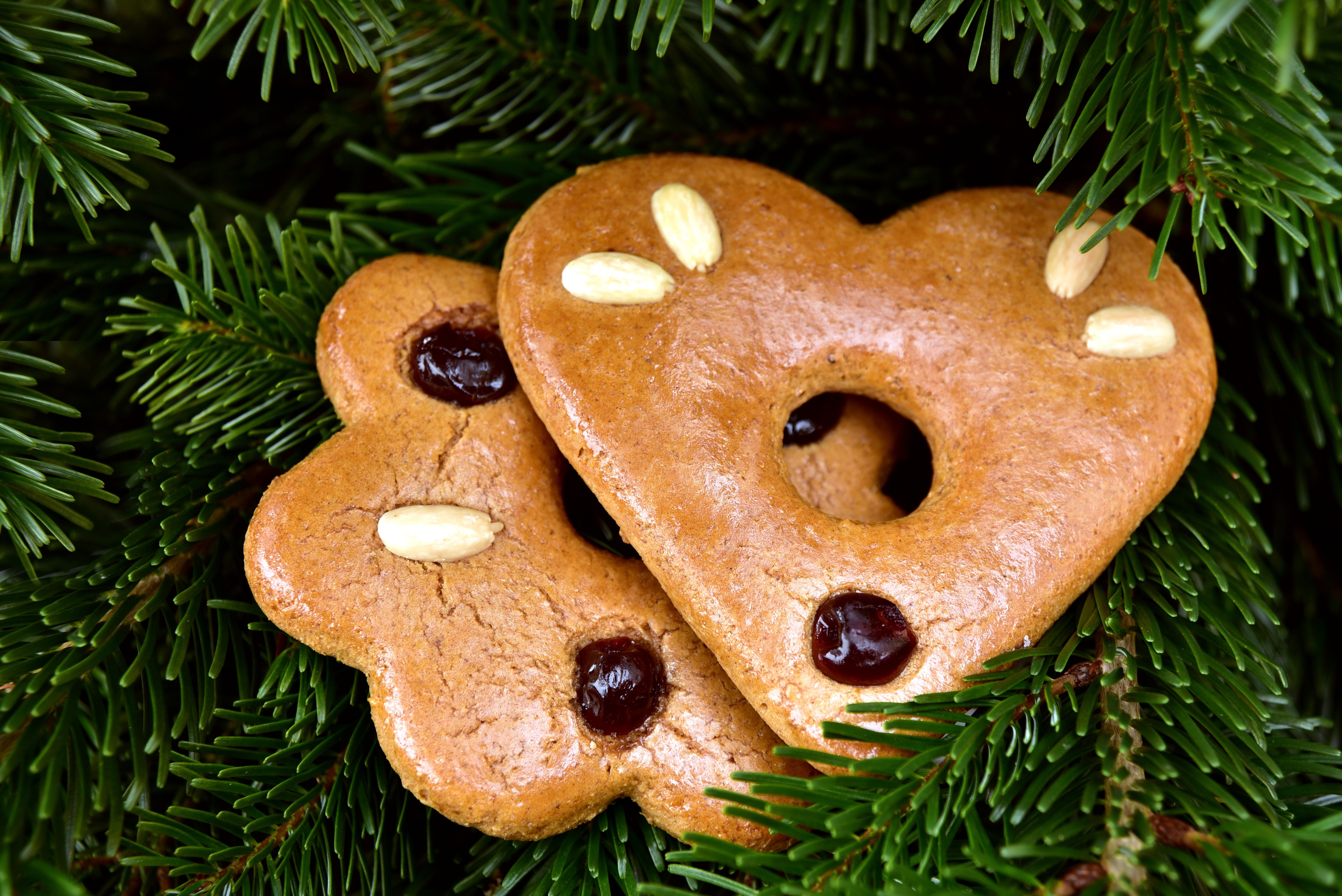 Gingerbread cookies with almonds and jam on spruce branches HD Wallpaper