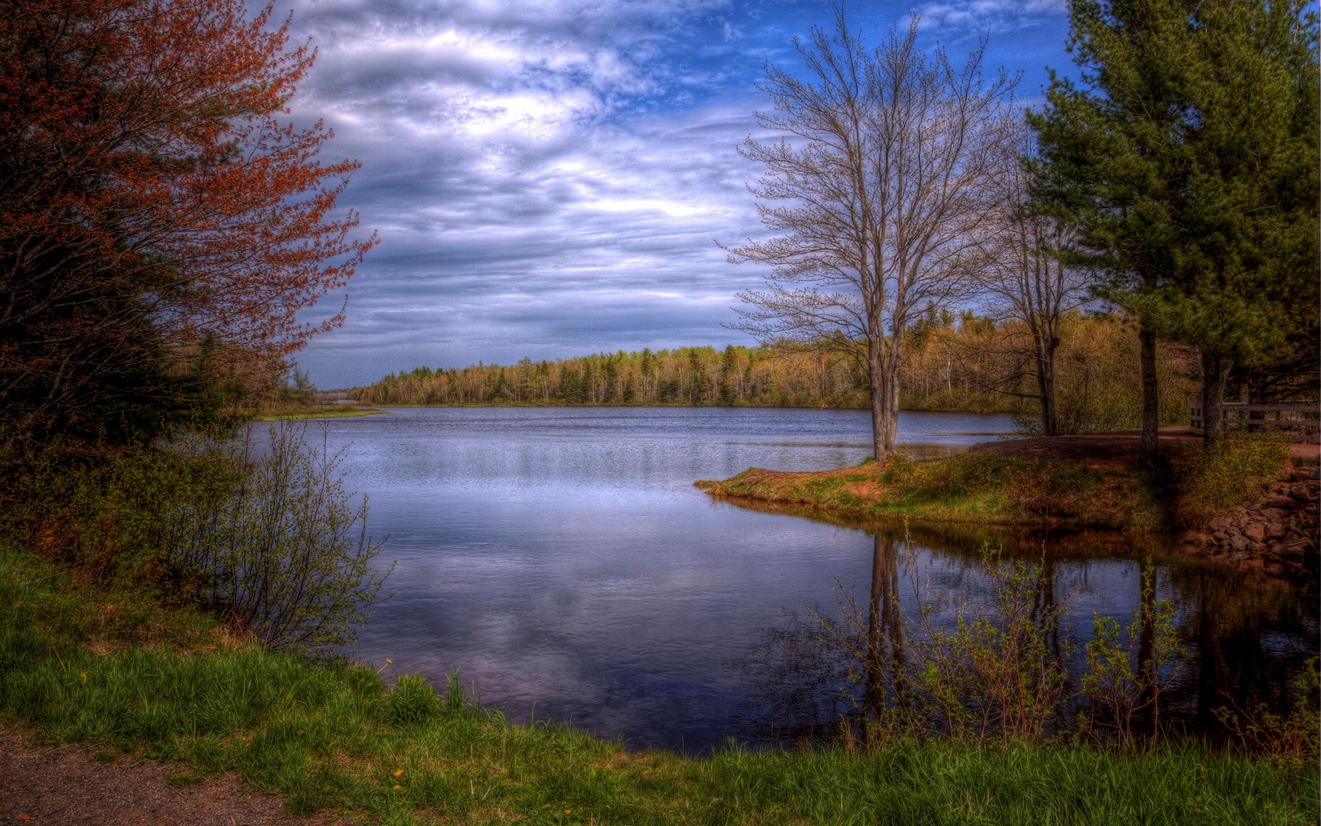 Lake surrounded by trees under a cloudy sky HD Wallpaper