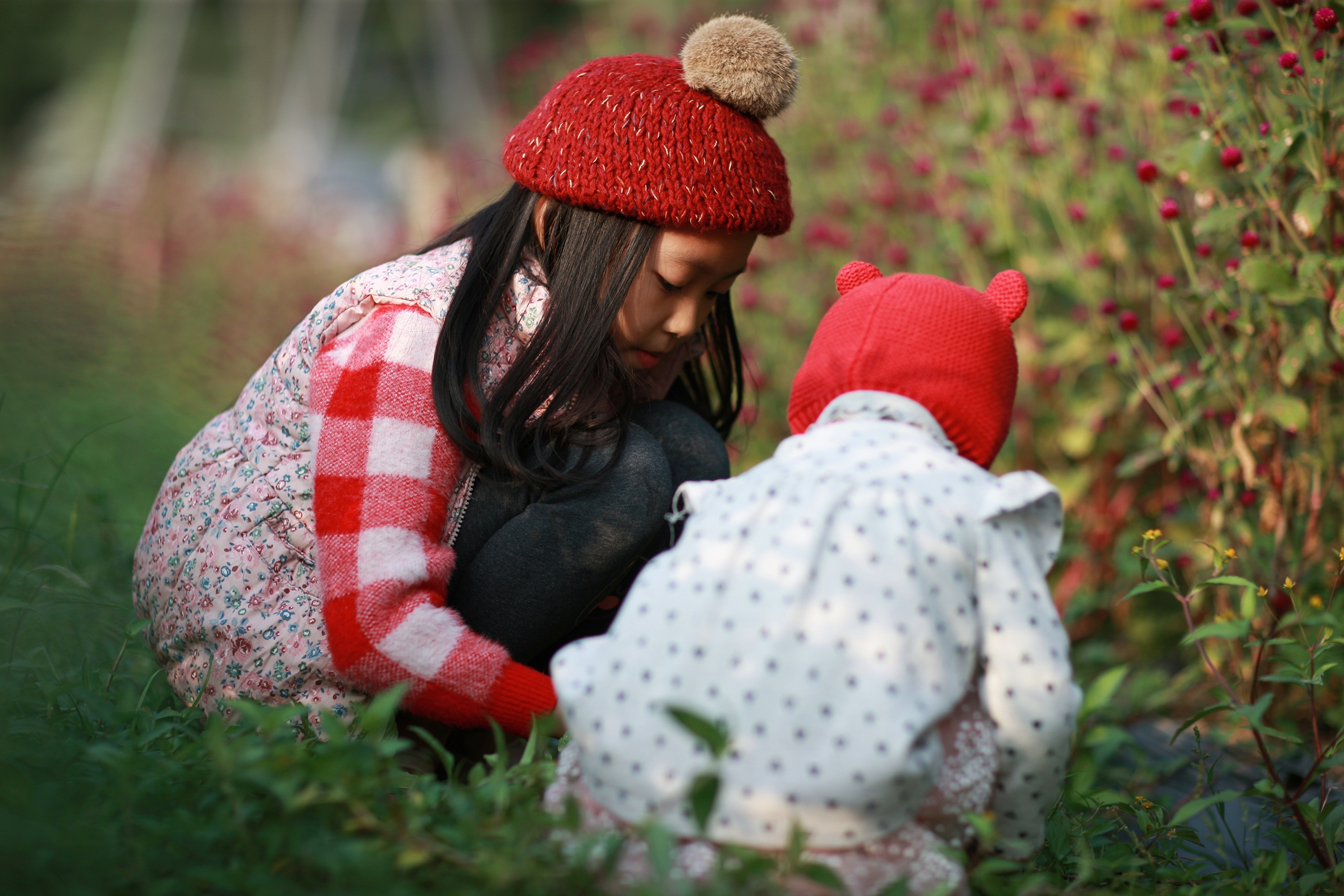 Two little girls in red hats in a garden HD Wallpaper