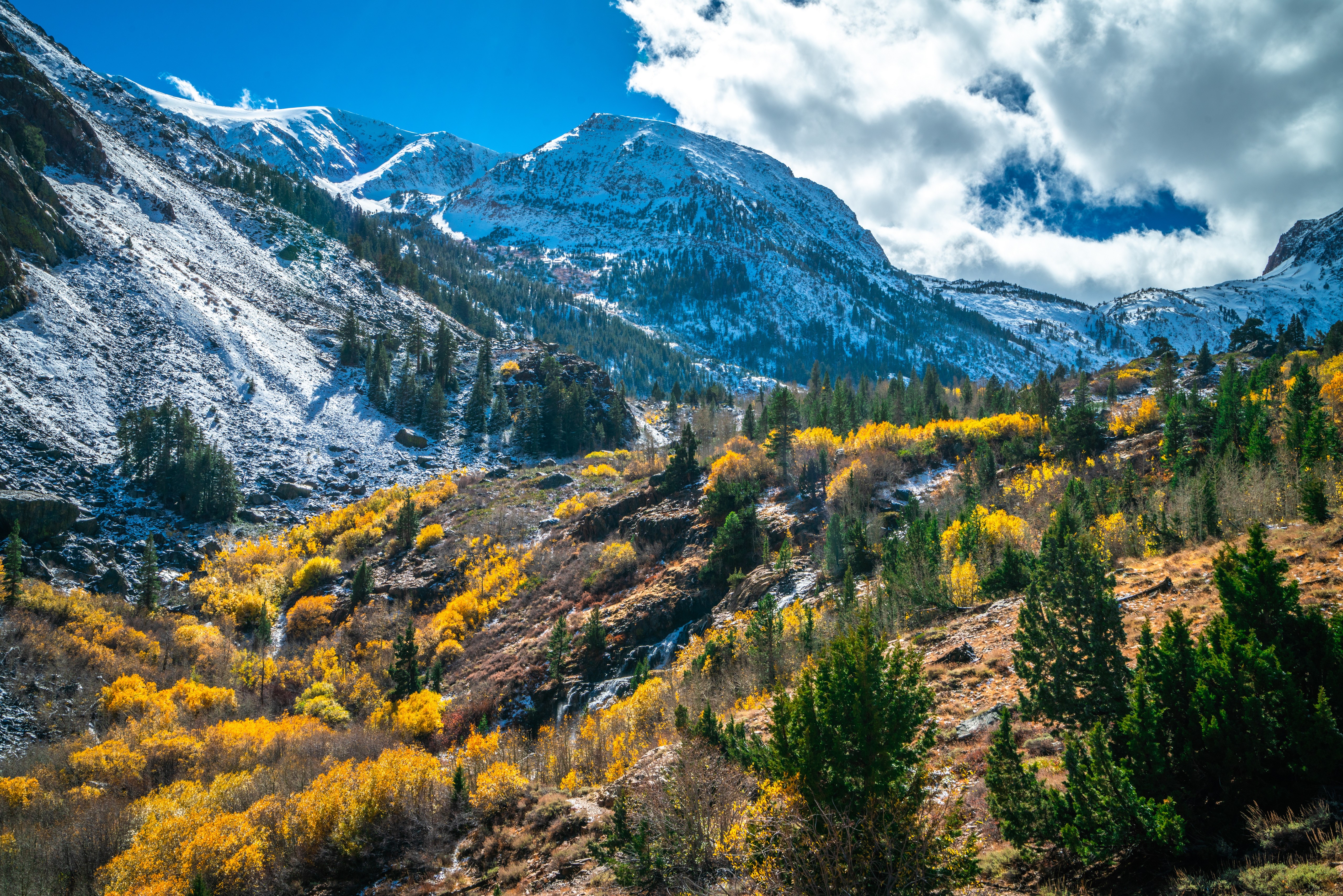 Autumn in Lundy Canyon, California HD Wallpaper