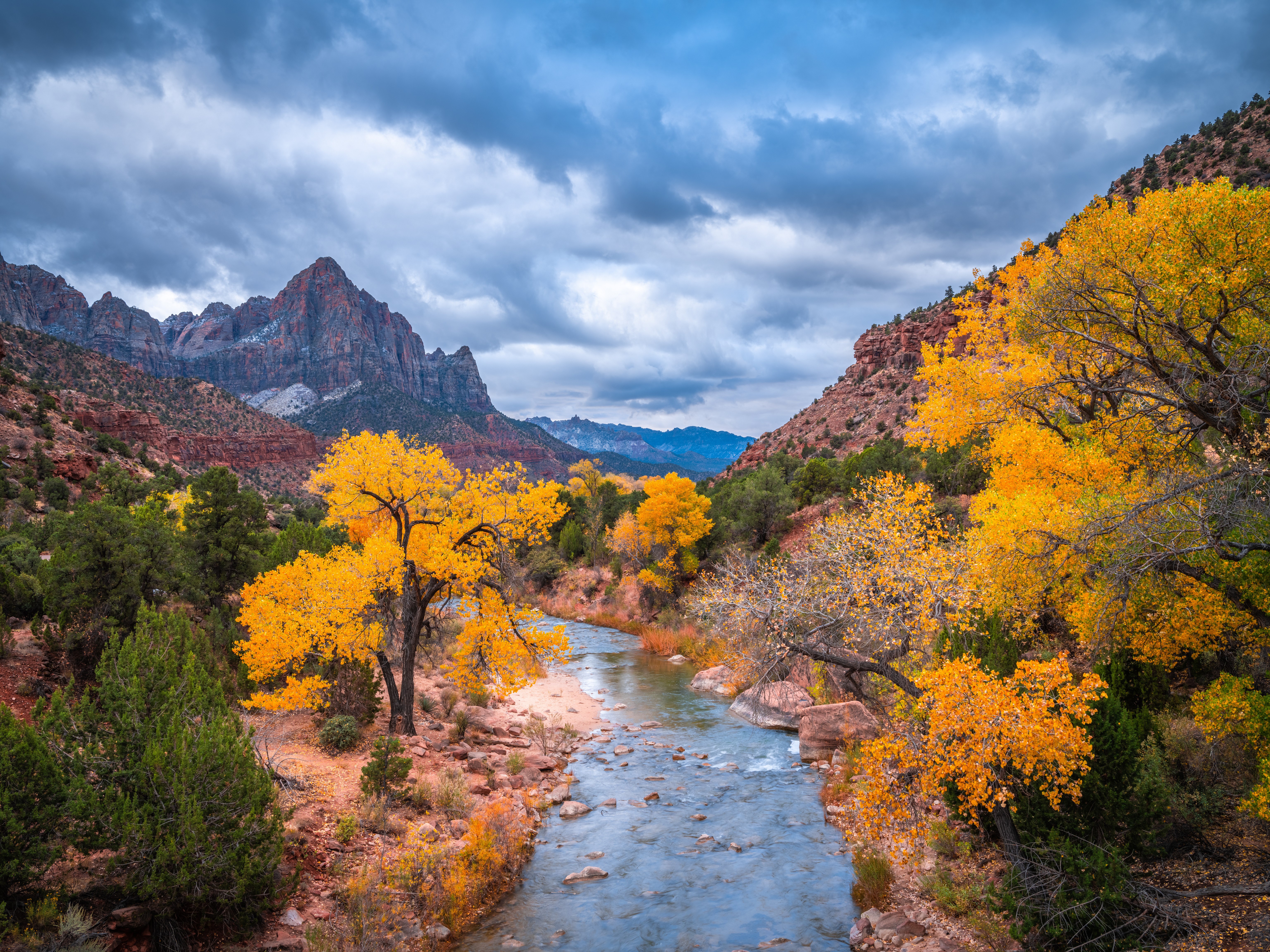 Autumn in Zion National Park with River and Mountains HD Wallpaper