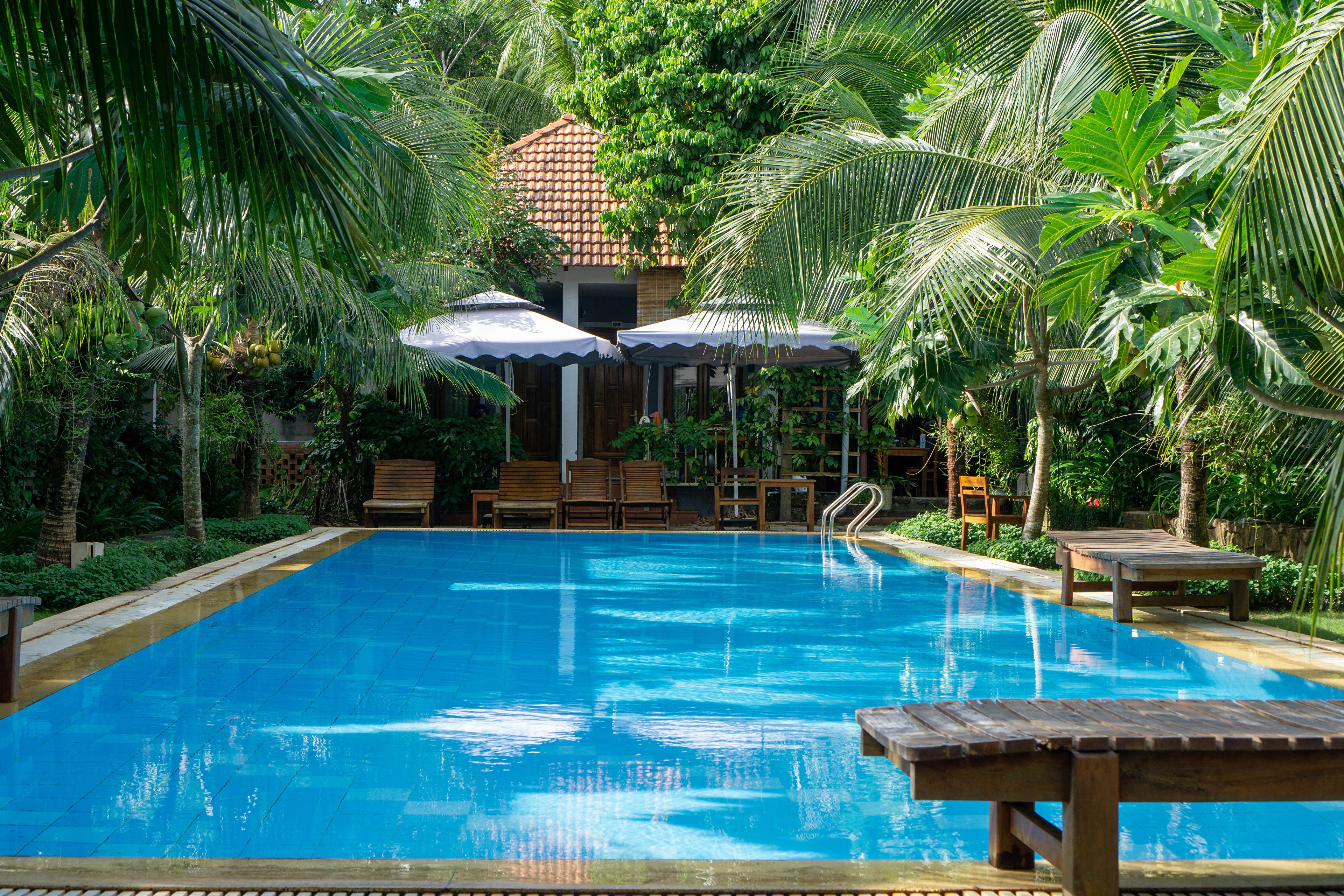 Resort pool with palm trees in Phu Quoc, Vietnam HD Wallpaper