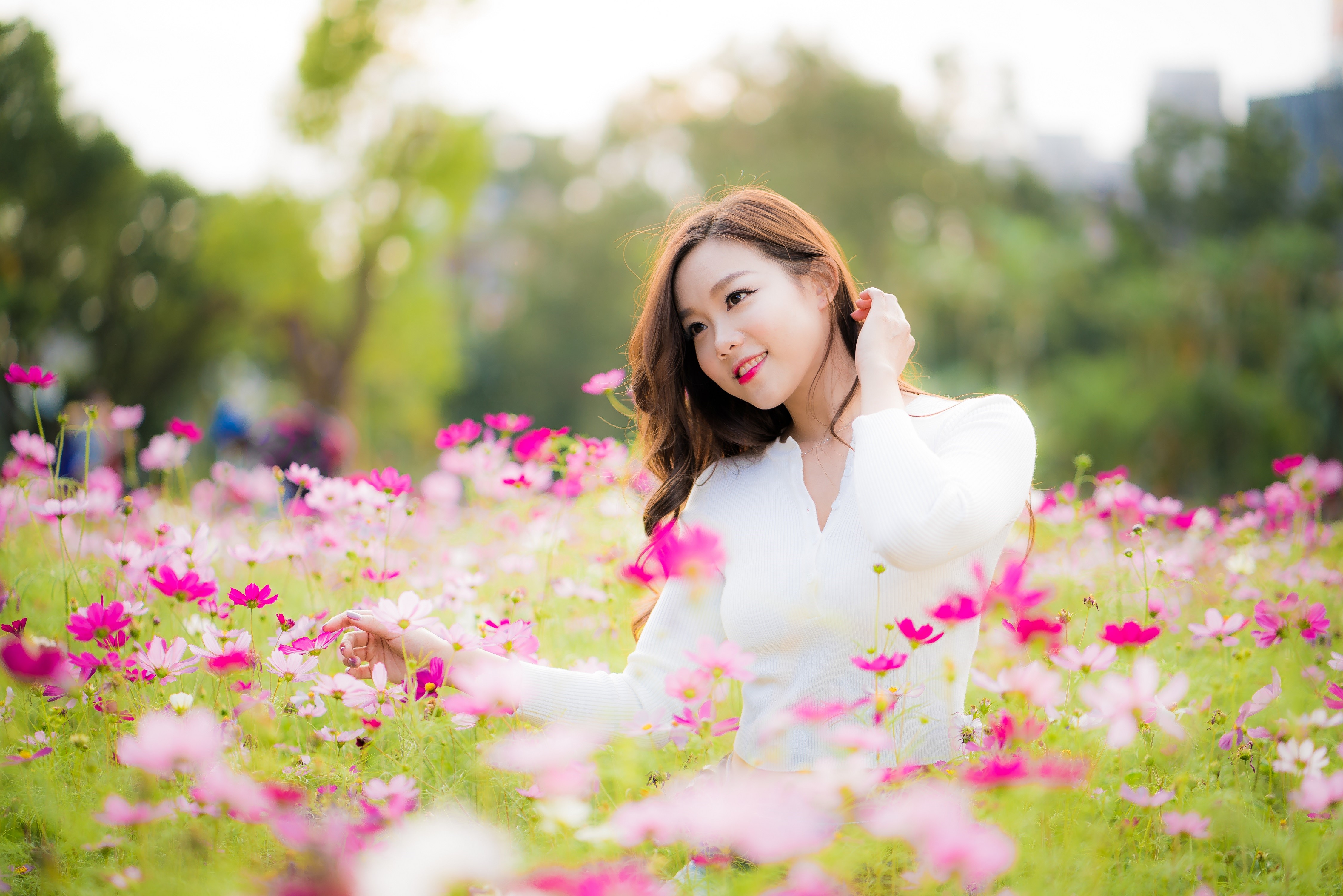 Asian woman with brown hair in a field of cosmos flowers HD Wallpaper