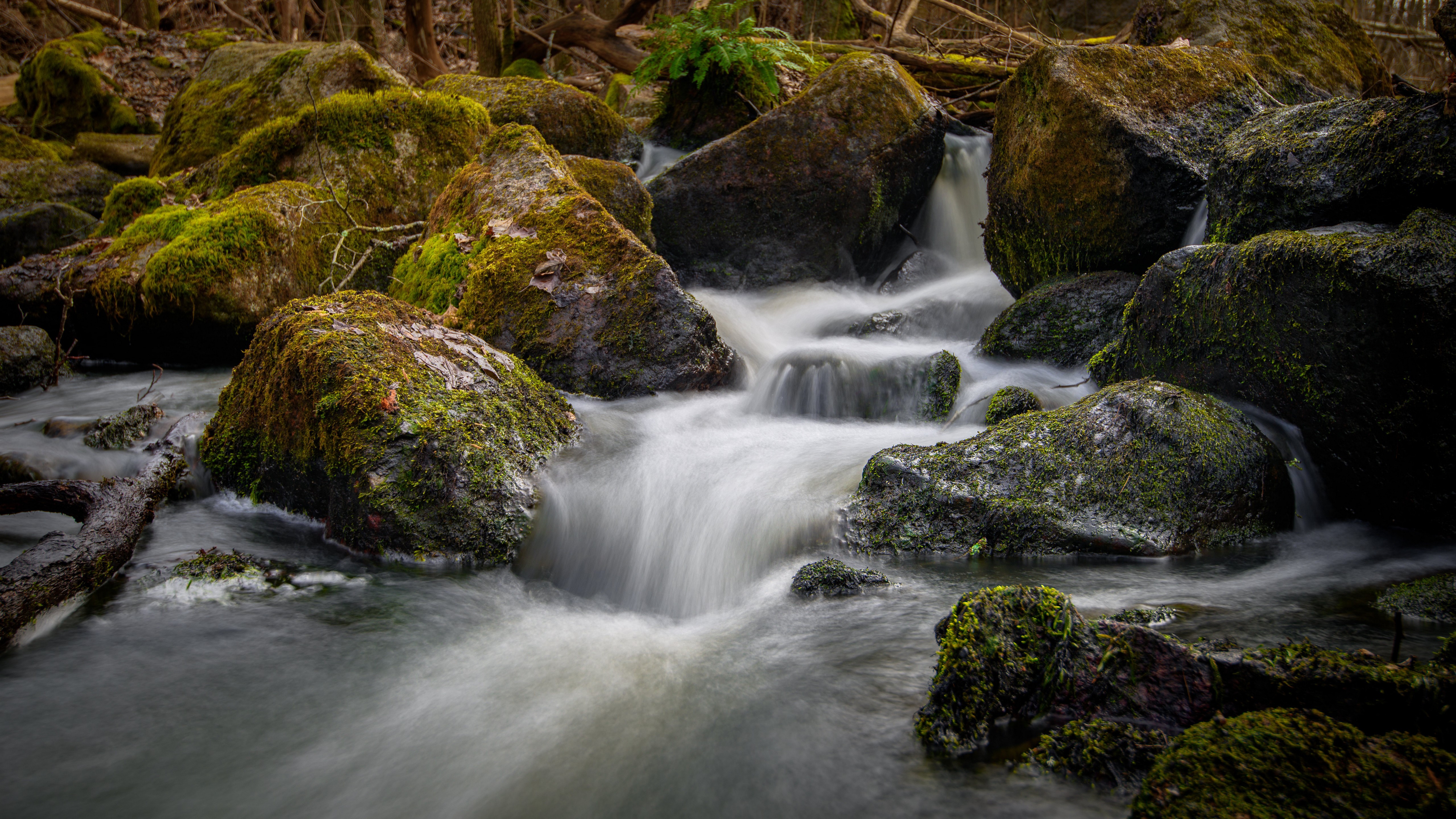 Mossy stones in a stream in Sweden HD Wallpaper