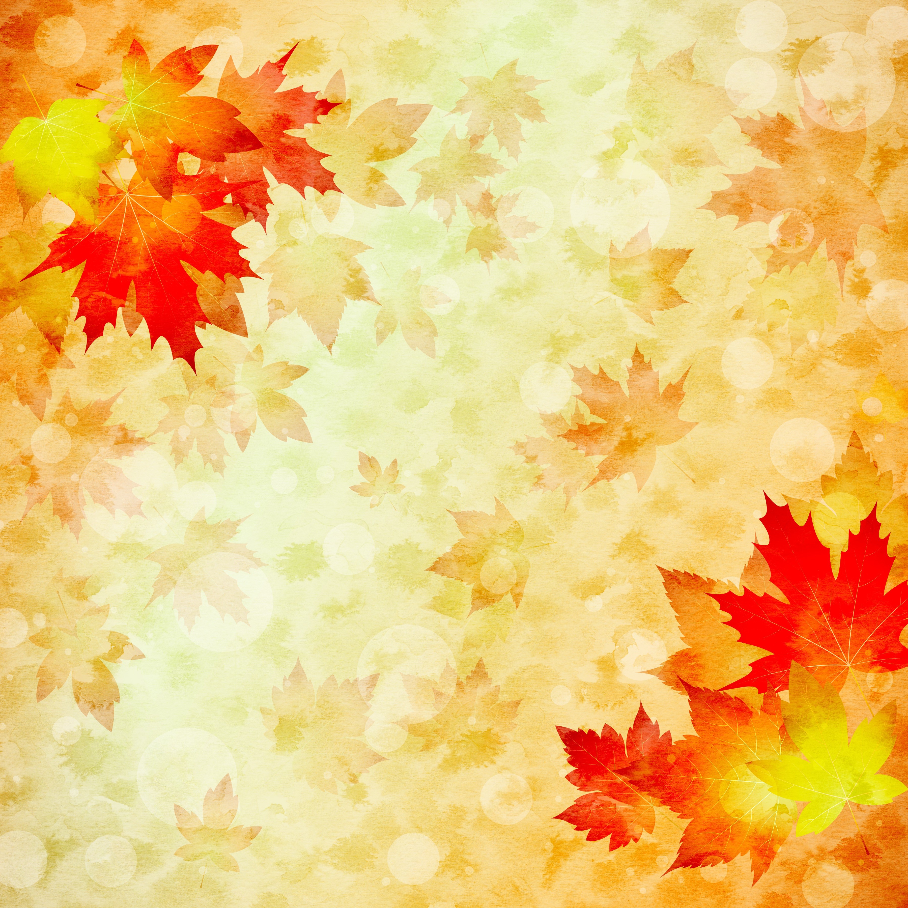 Autumn Maple Leaves Painting HD Wallpaper