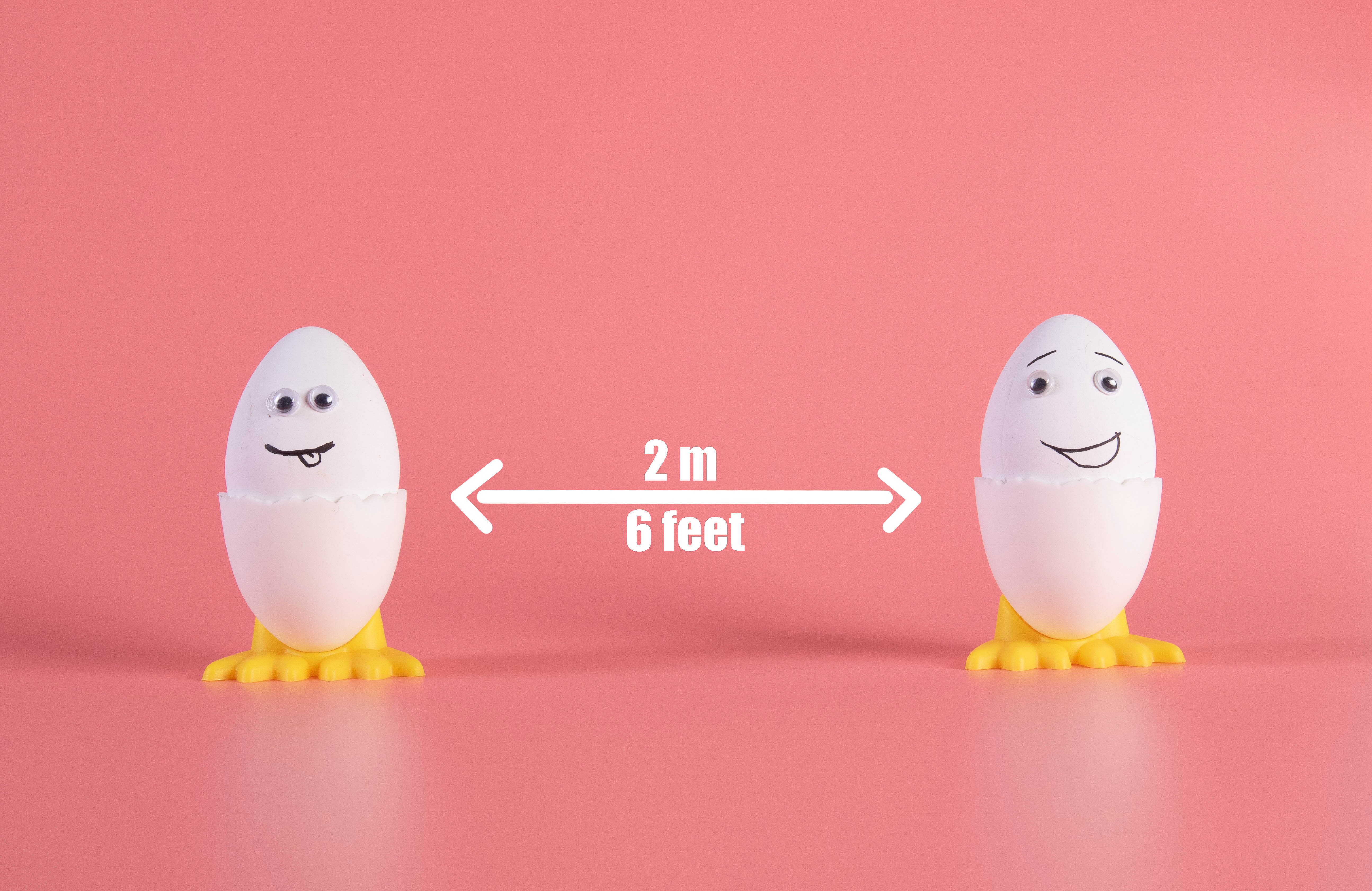 Two eggs practicing social distancing HD Wallpaper