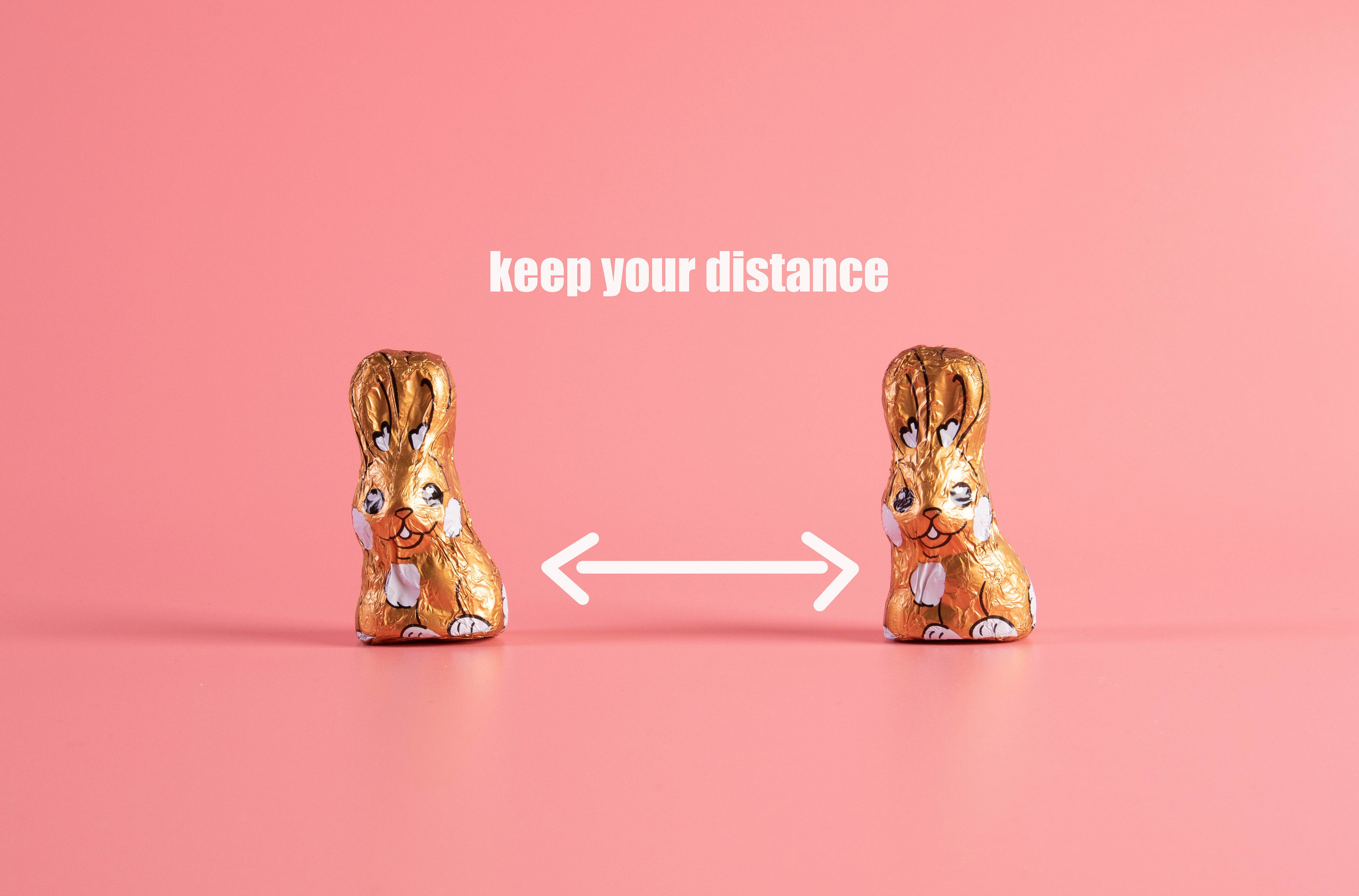 Chocolate Easter bunnies with social distancing message HD Wallpaper