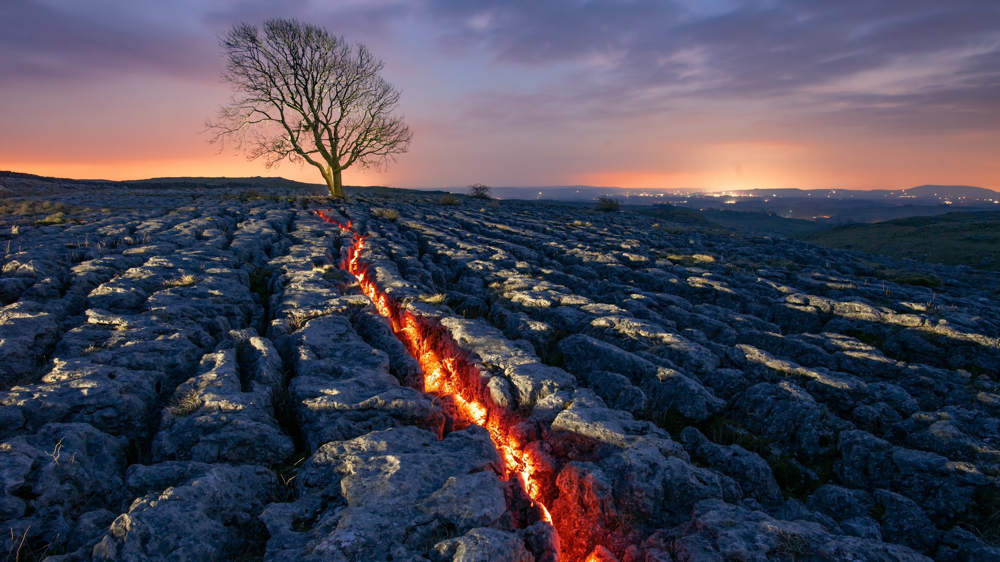 Crack in the earth with lava and a tree HD Wallpaper