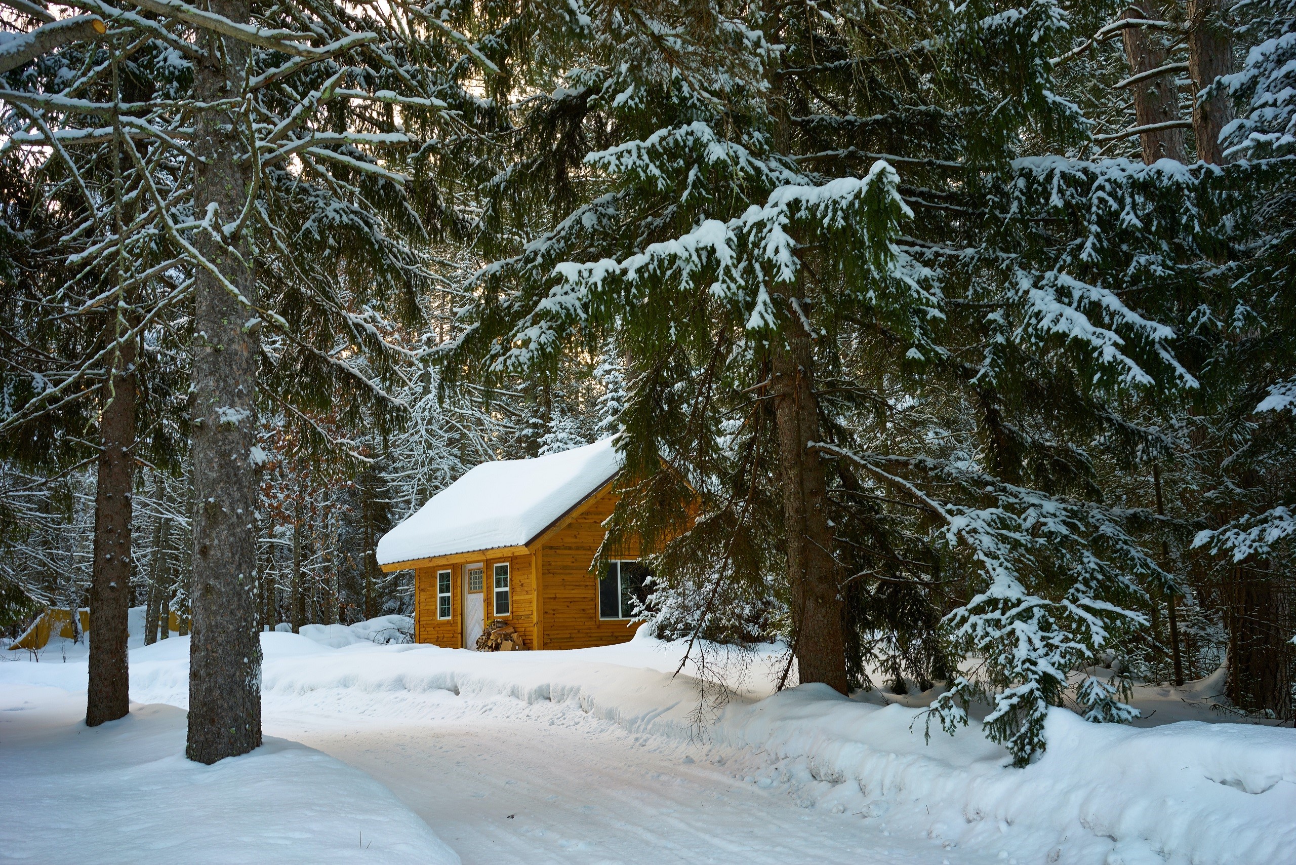 Wooden cabin in a snowy forest HD Wallpaper