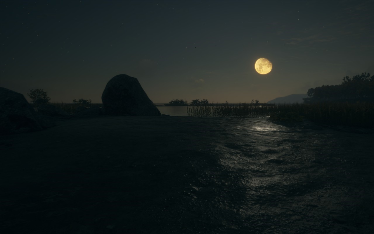 Moonlit night over a lake with rocks and trees HD Wallpaper