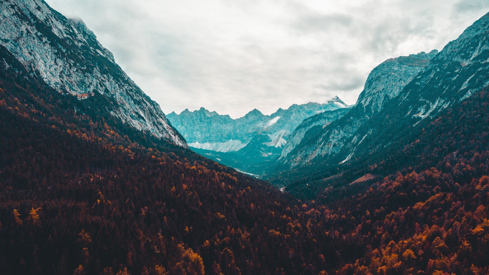 Mountain valley with autumn forest and rocky peaks HD Wallpaper