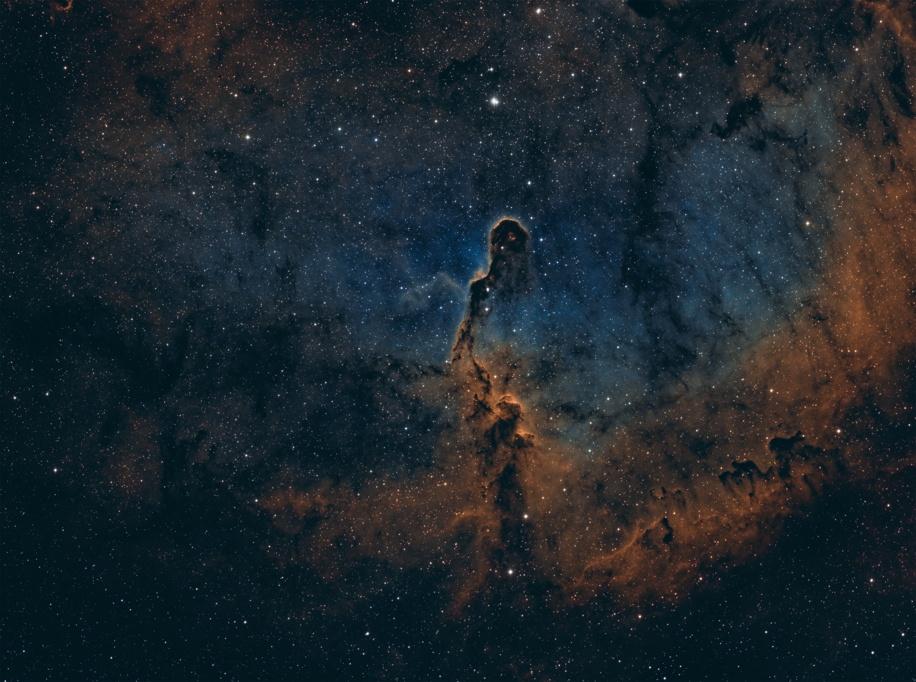 Elephant Trunk Nebula in Space HD Wallpaper