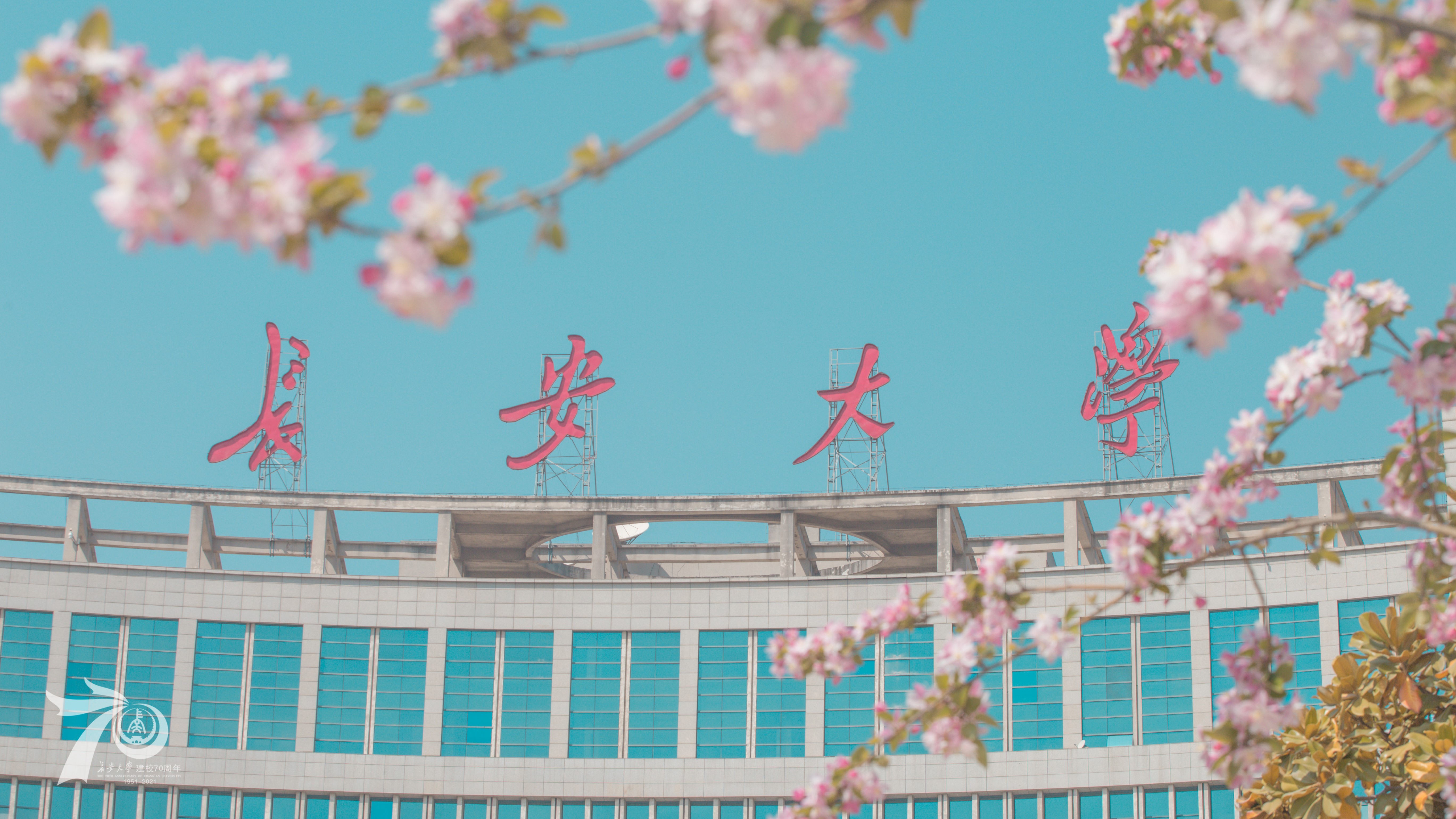 Changan University Campus with Cherry Blossoms HD Wallpaper