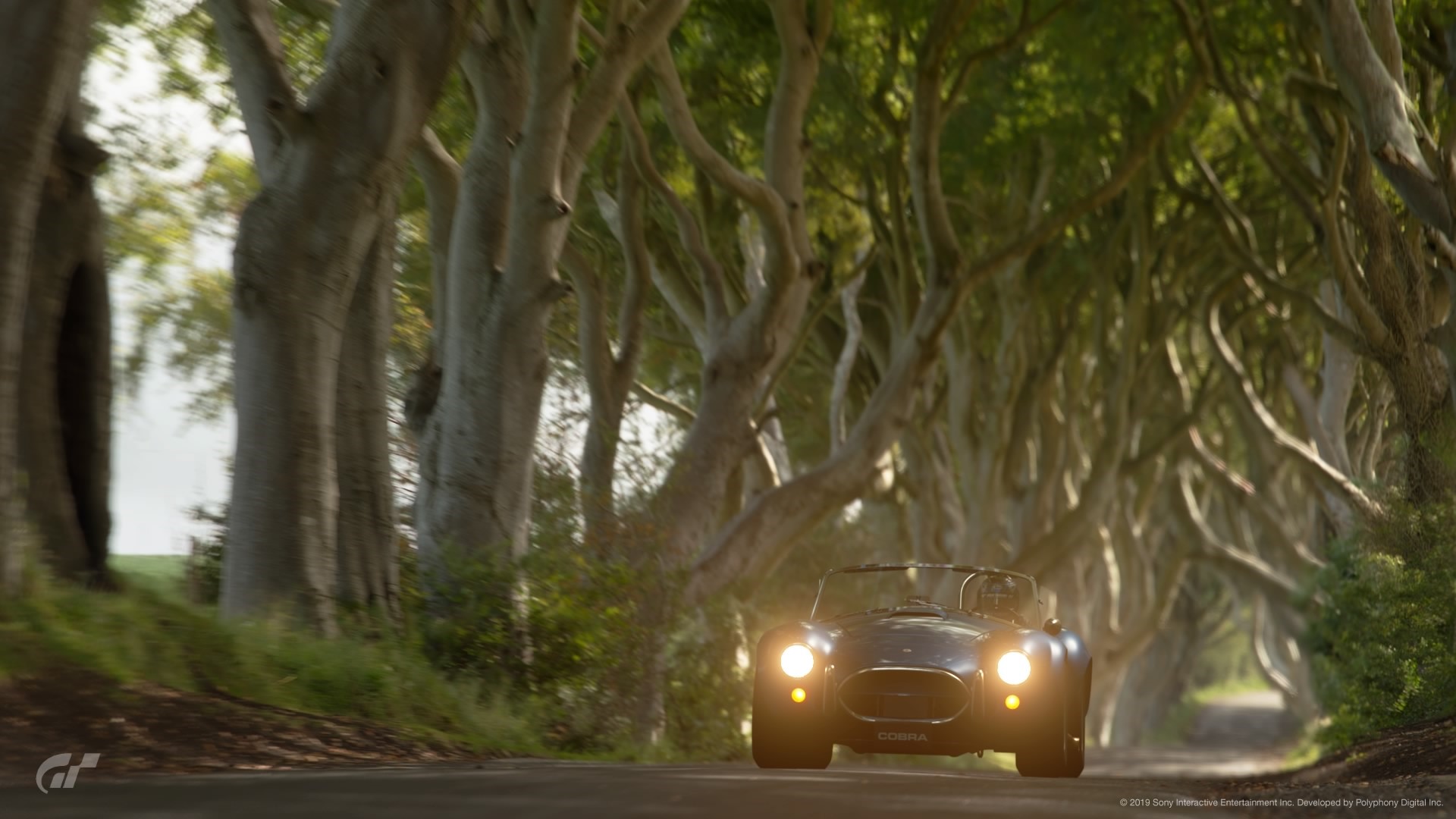 Gran Turismo Shelby Cobra on a Tree-Lined Road HD Wallpaper