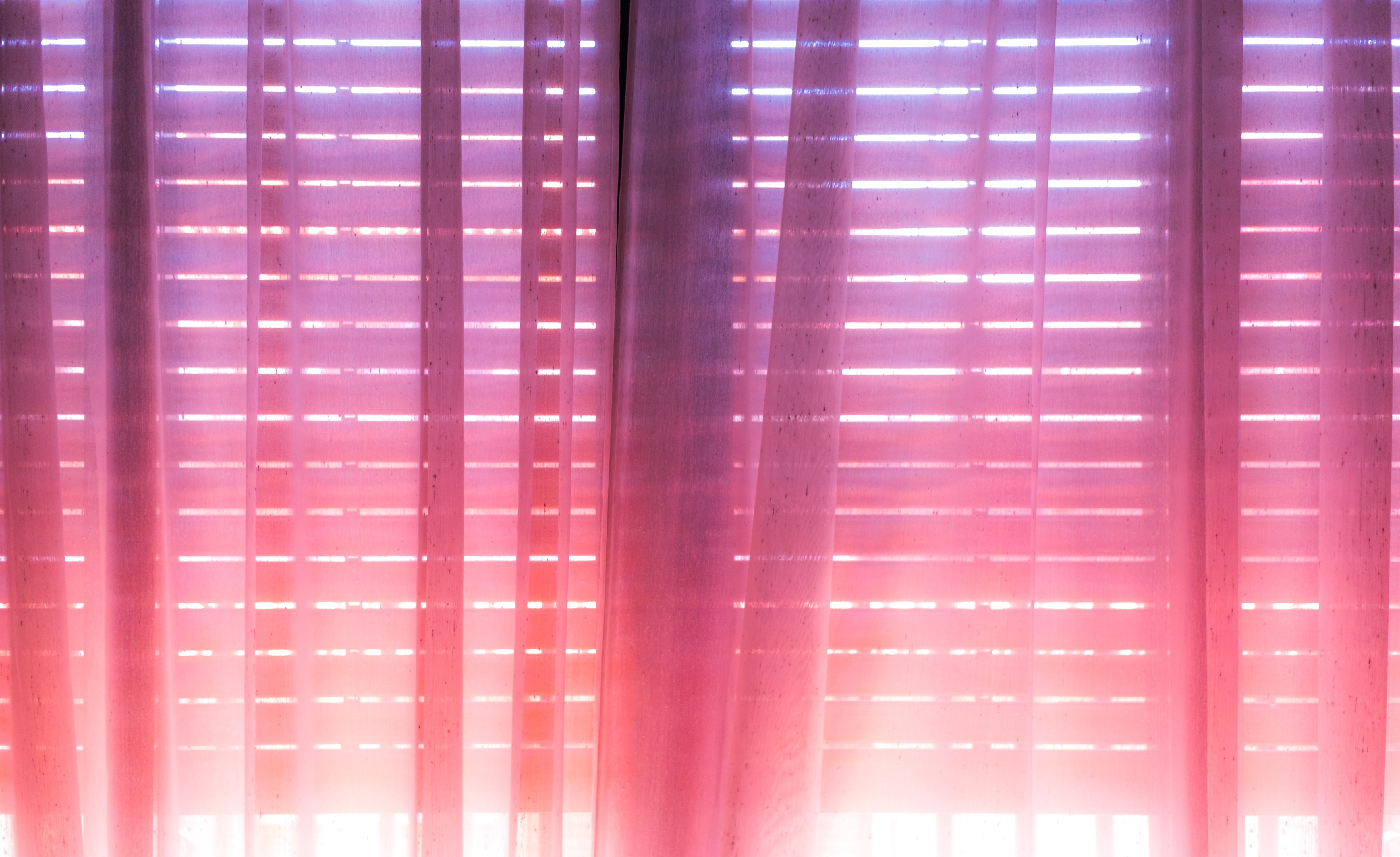 Pink and purple curtains with blinds HD Wallpaper