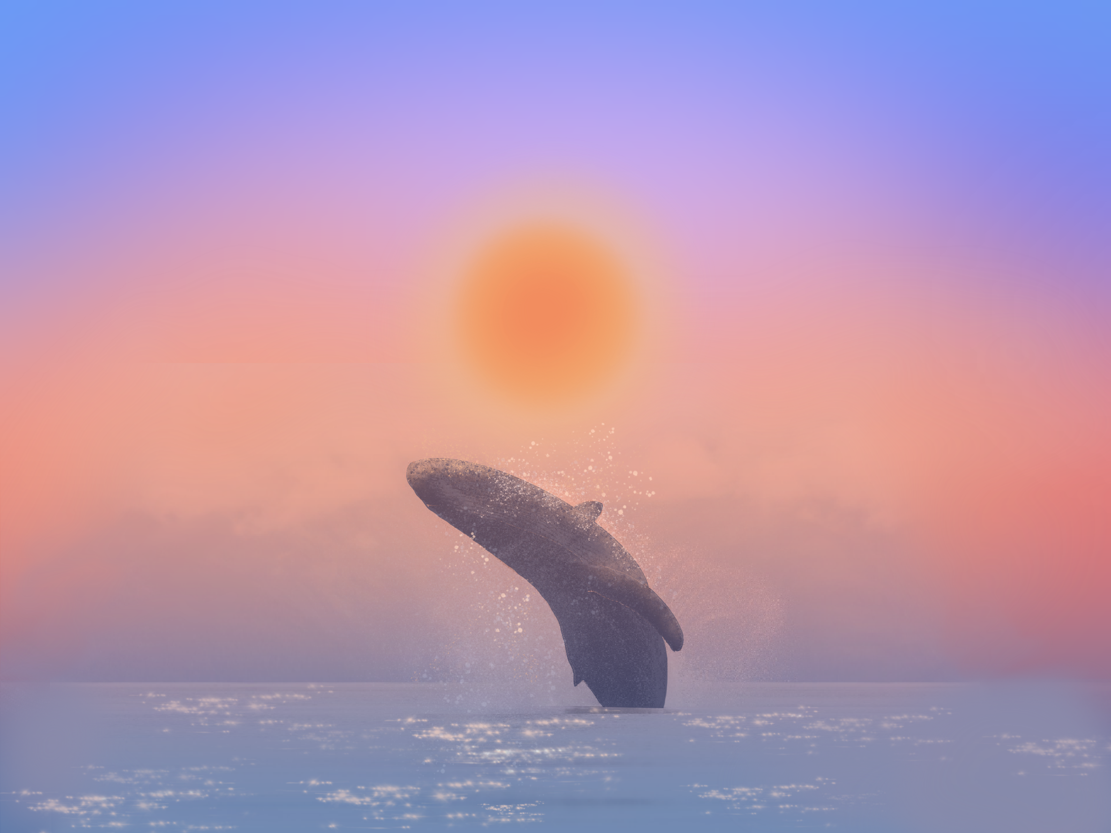 Whale breaching at sunset HD Wallpaper