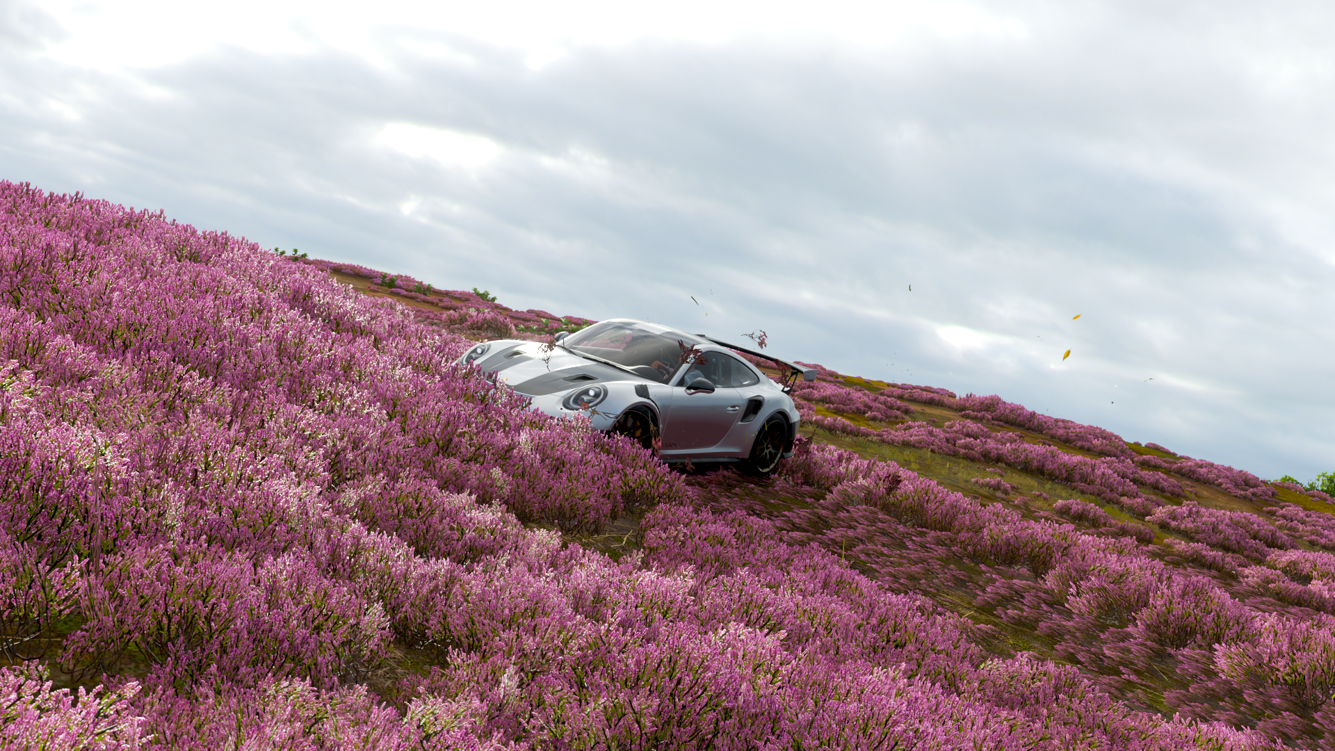Silver Porsche 911 GT2 RS in a field of pink flowers HD Wallpaper