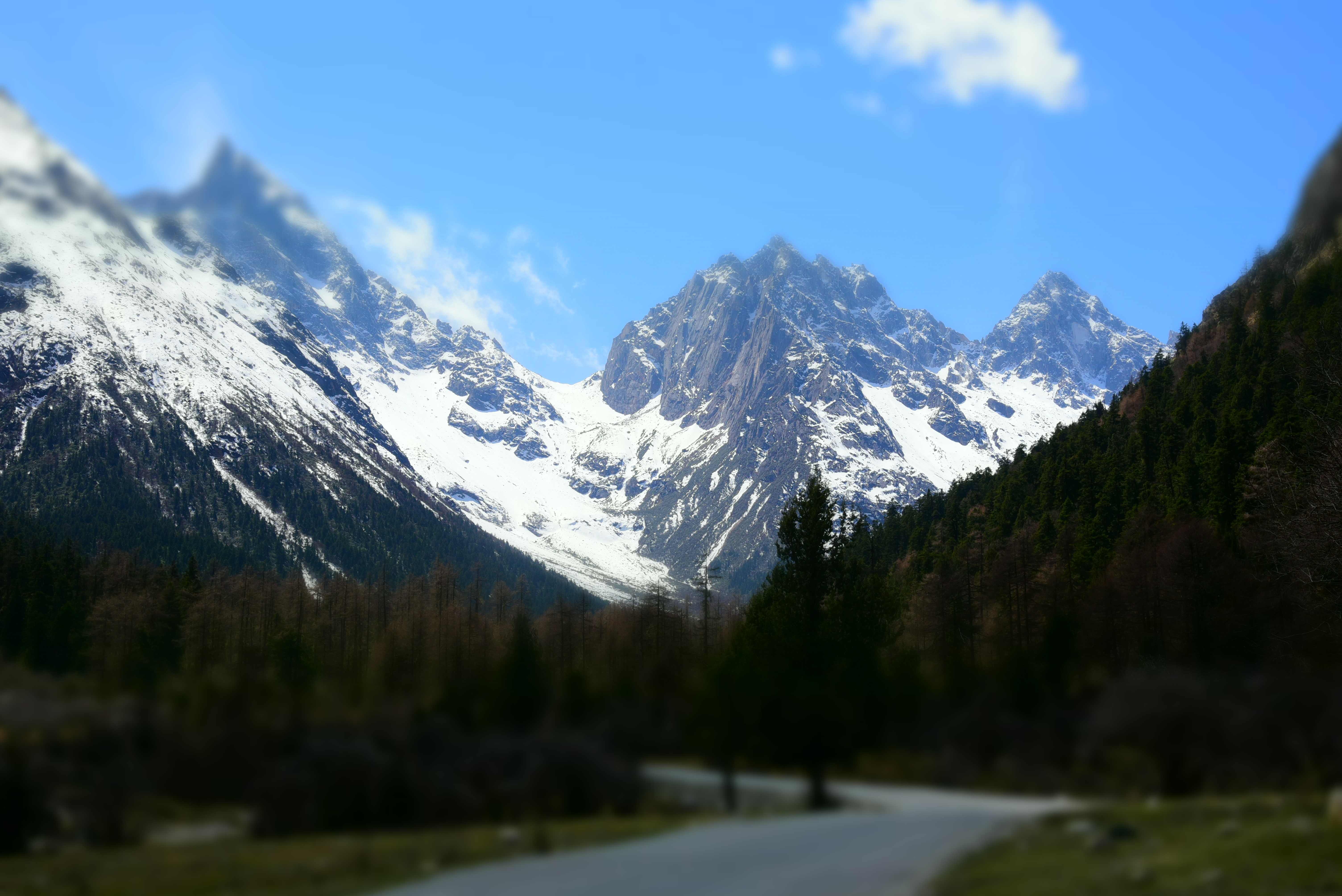 Snow-capped mountains and forest with a road HD Wallpaper