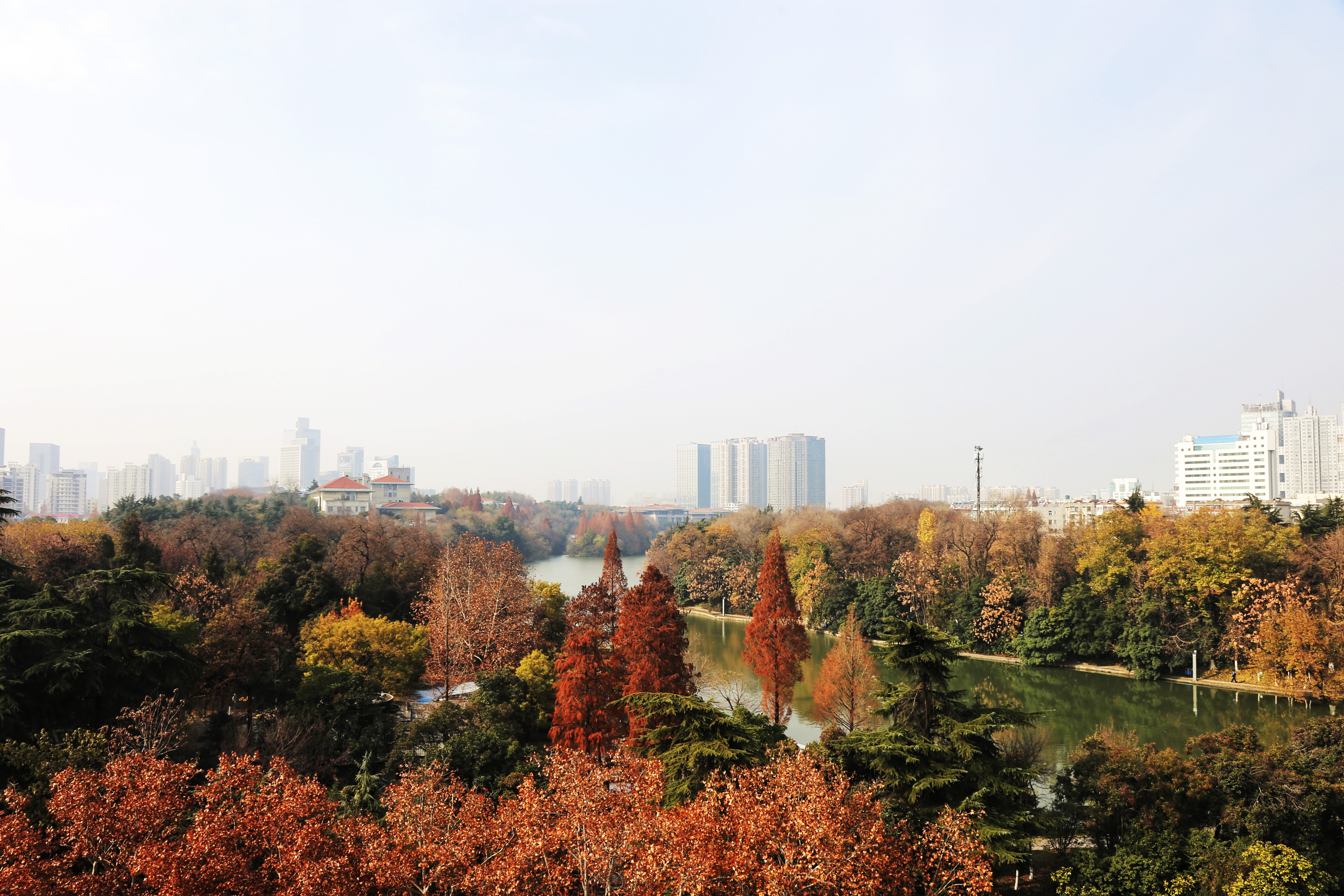 Autumn park with city skyline in Hefei HD Wallpaper