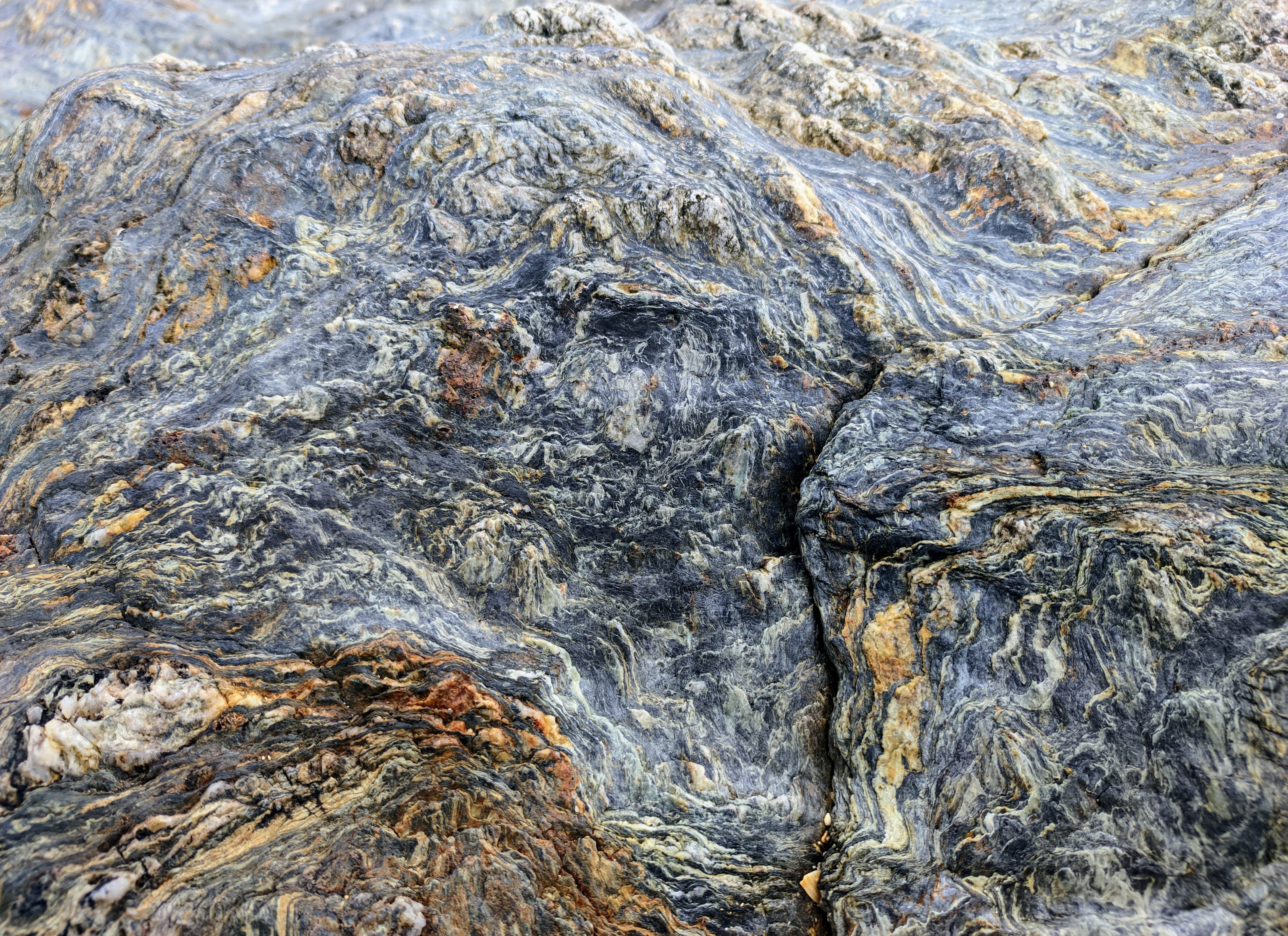 Close-up of a textured rock with intricate patterns HD Wallpaper