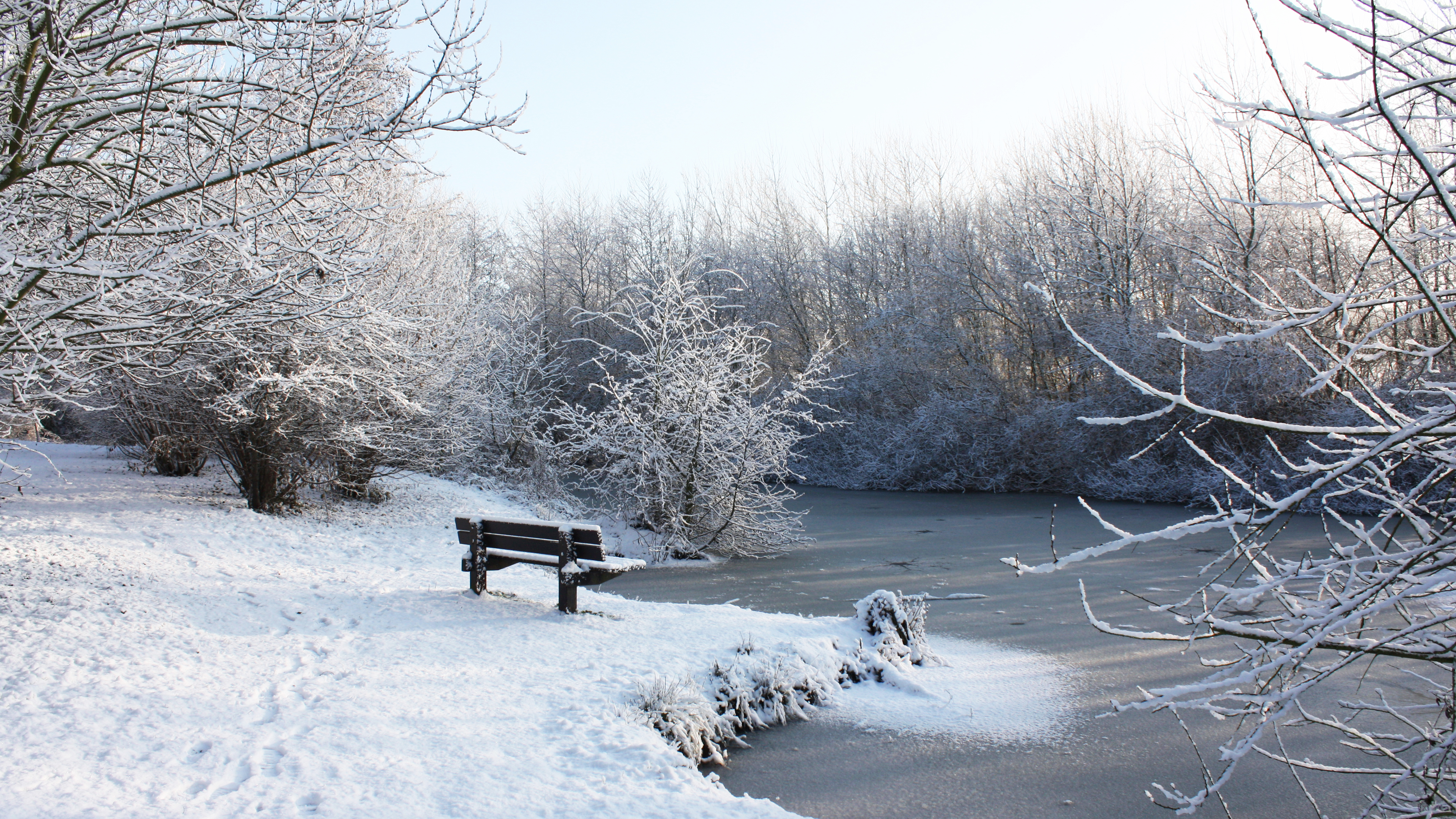 Winter scene with snow-covered trees and a frozen pond HD Wallpaper