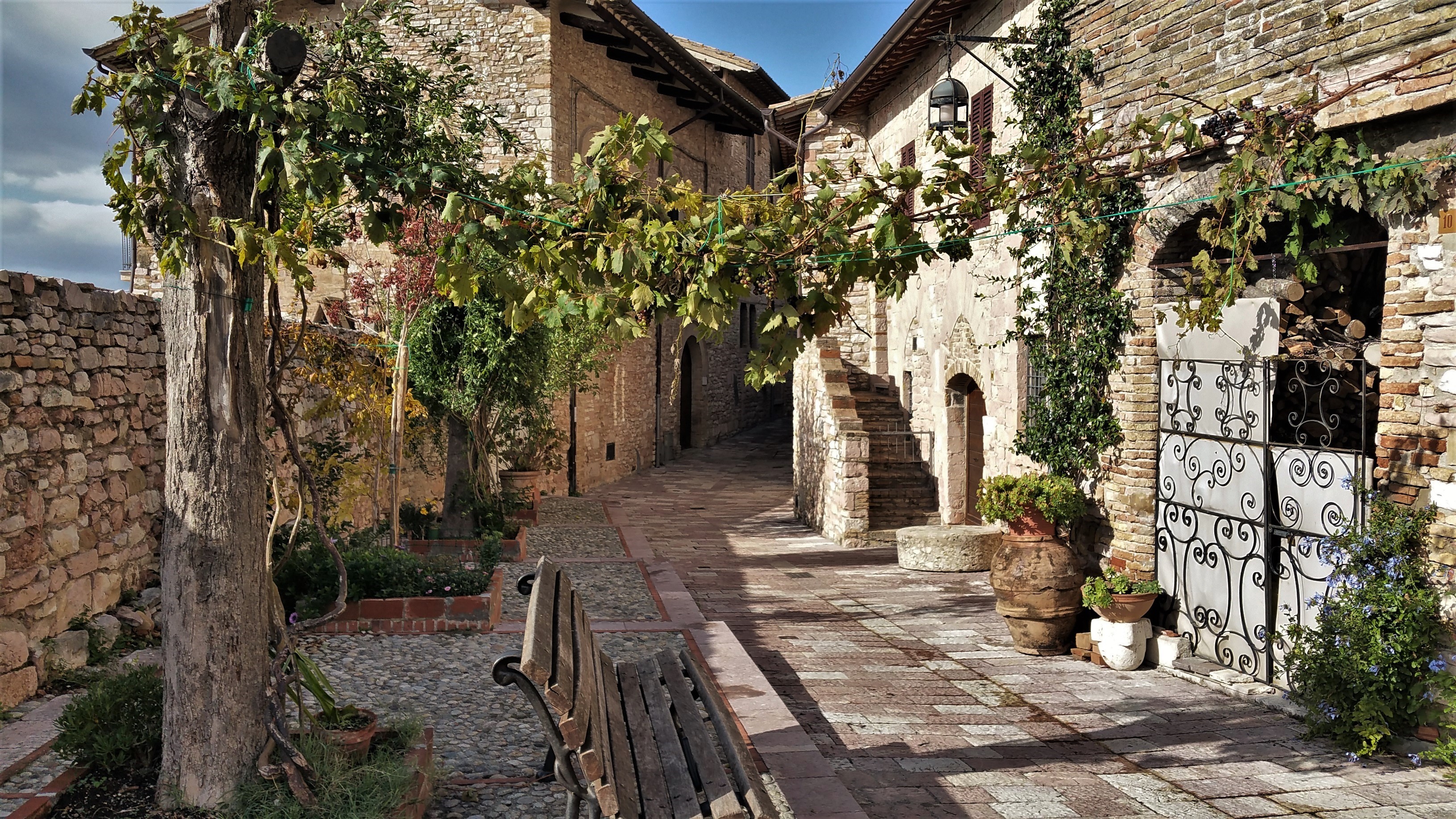 Narrow cobblestone street with stone buildings and plants in Italy HD Wallpaper