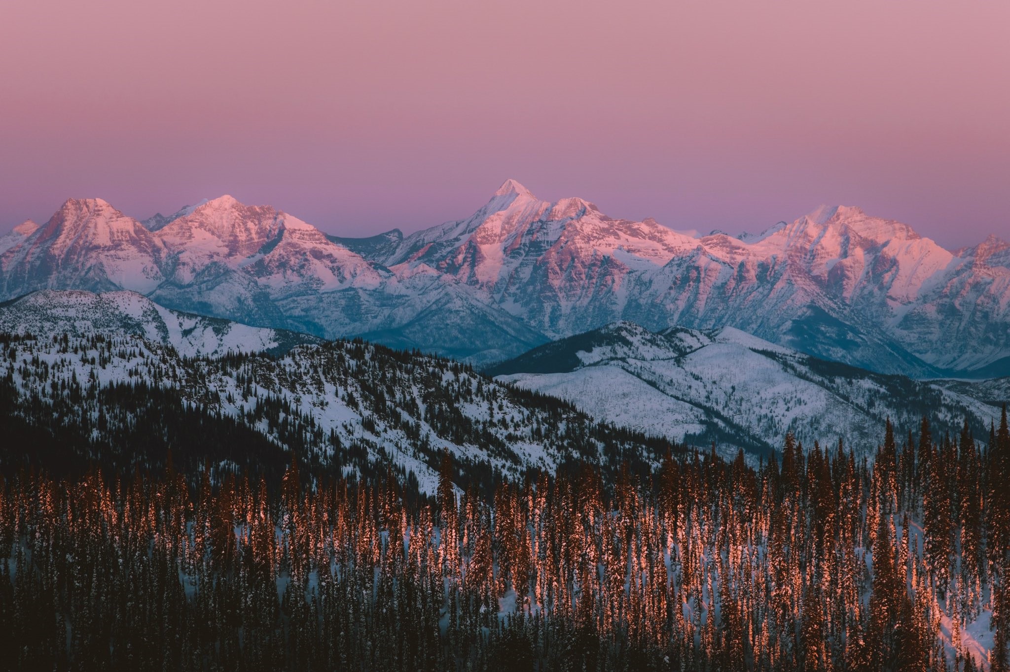 Snowy mountains at sunset with pine forest HD Wallpaper