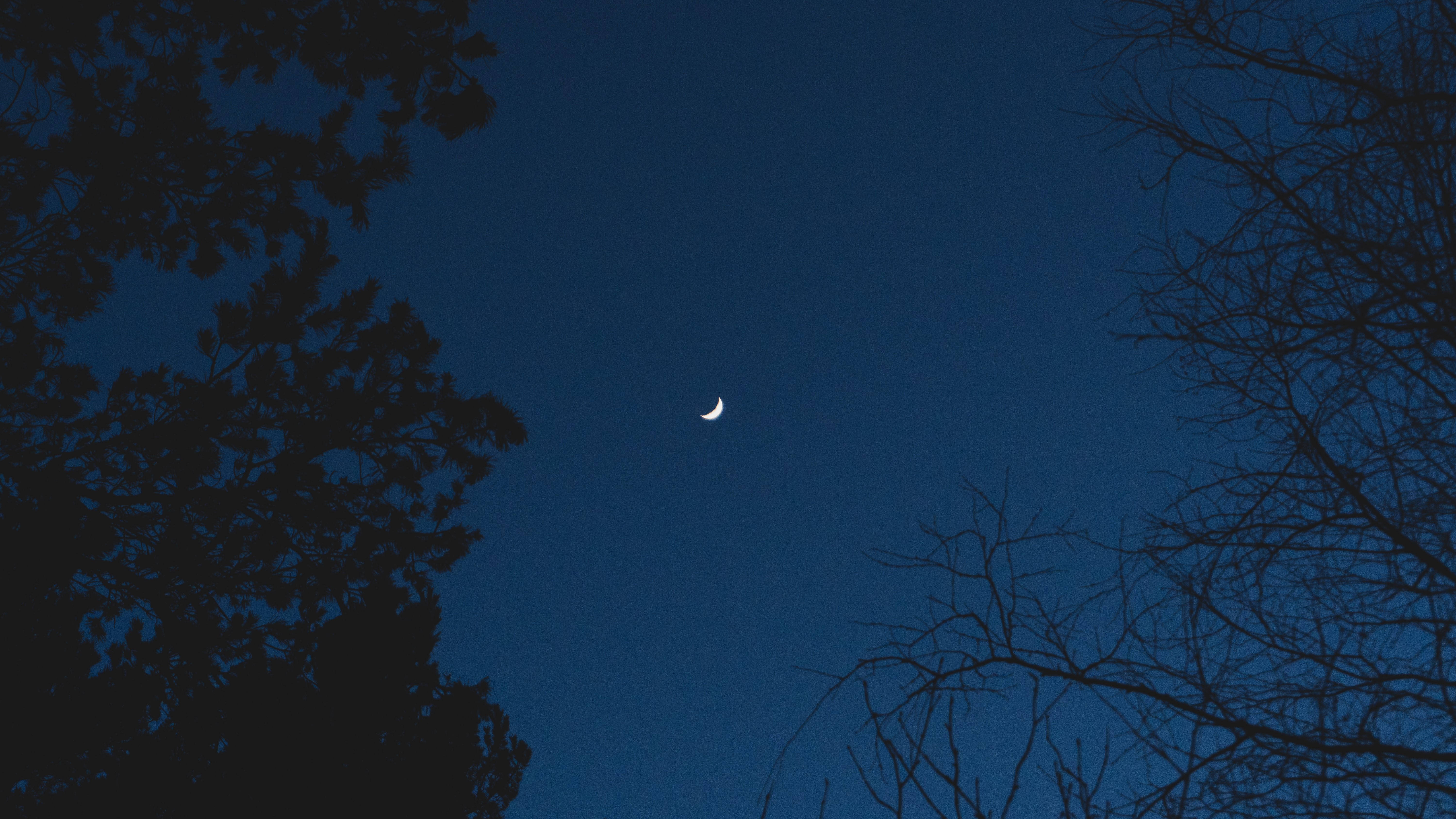 Crescent Moon in a Dark Night Sky with Trees HD Wallpaper