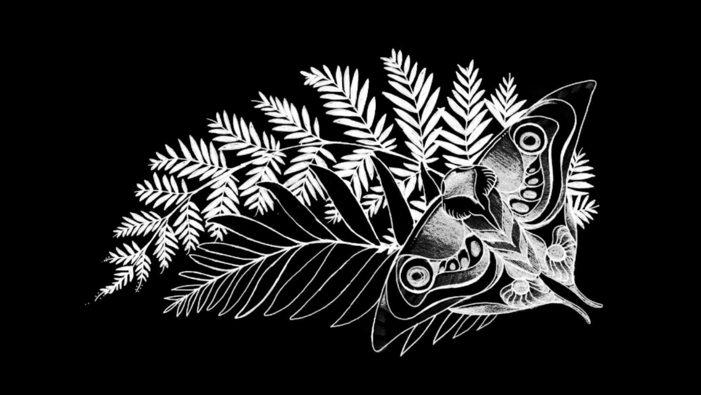 Moth and leaves from The Last of Us HD Wallpaper